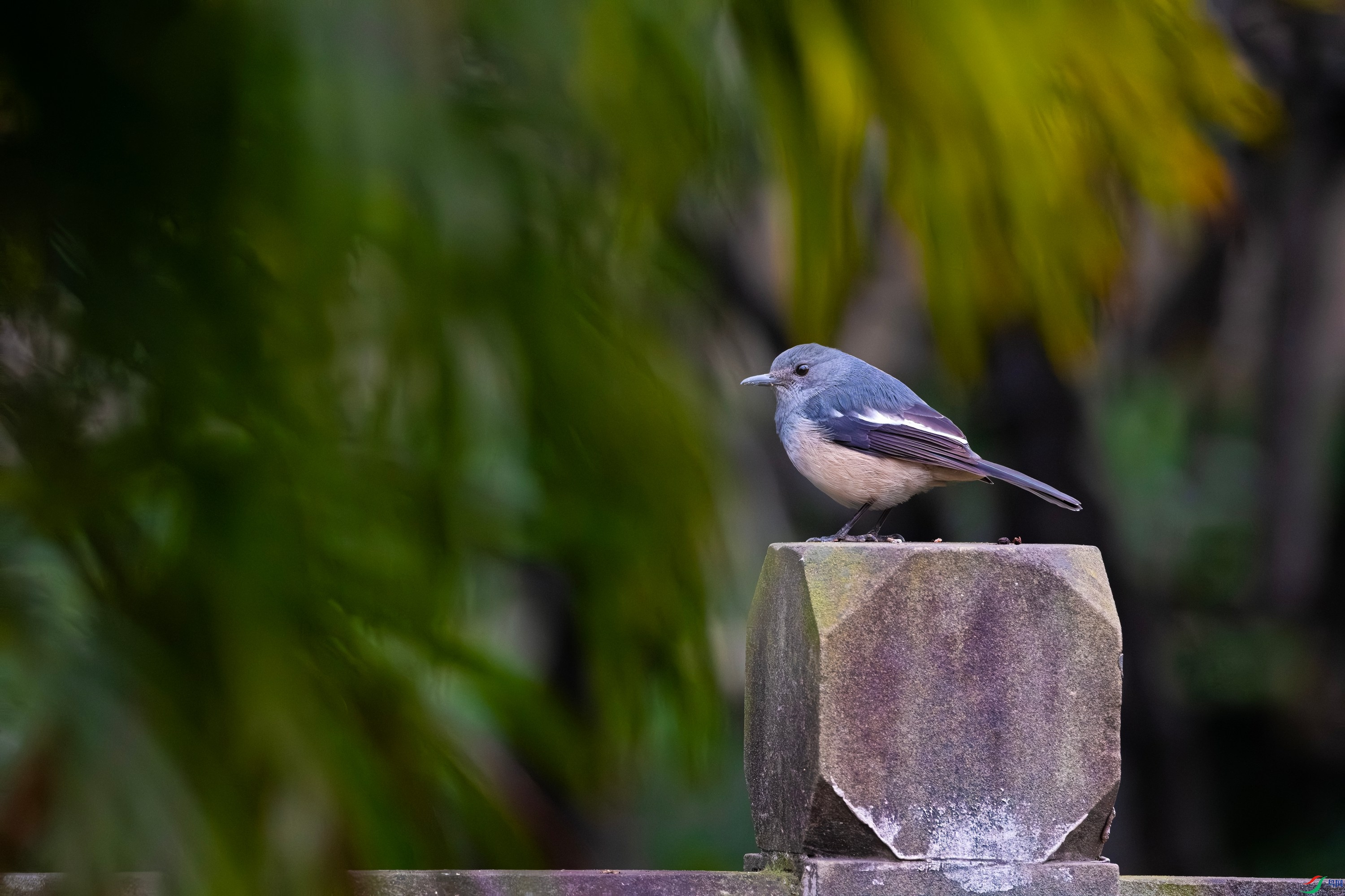 DSCF6232.jpg