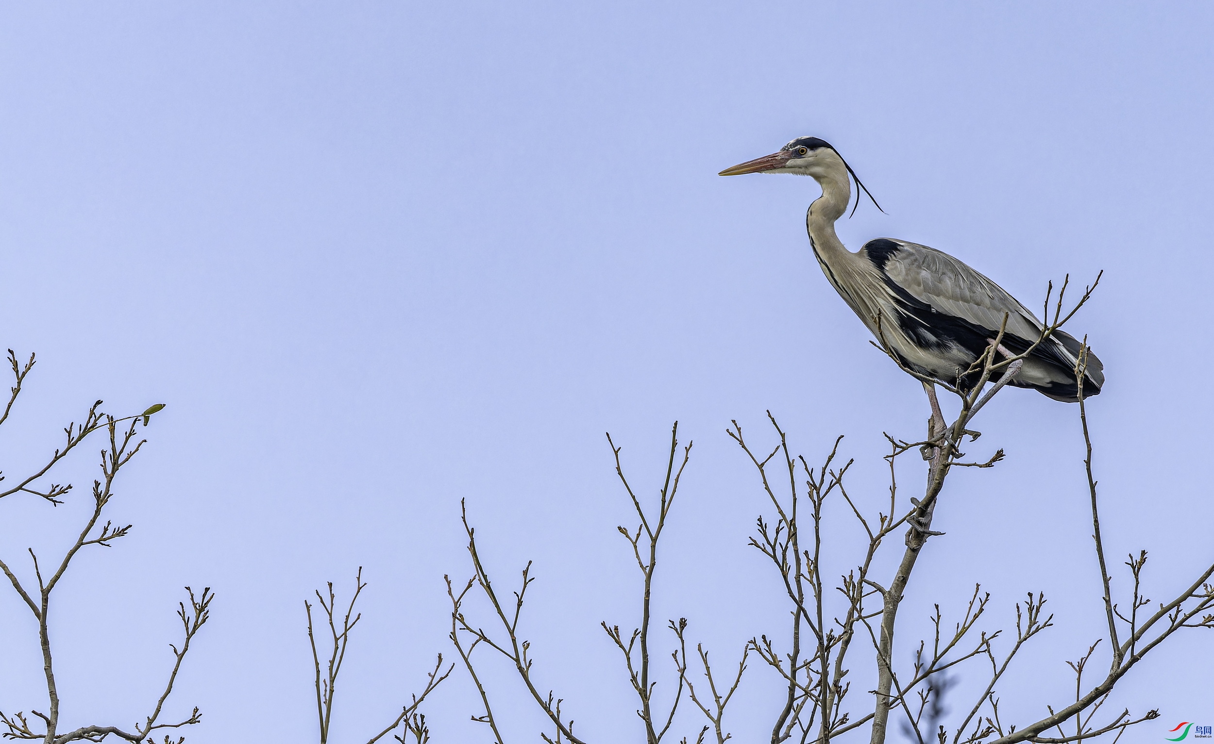 ���� (6)-1.jpg