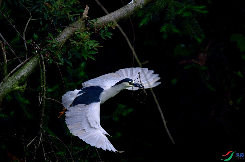 DSC_7807_00062.jpg