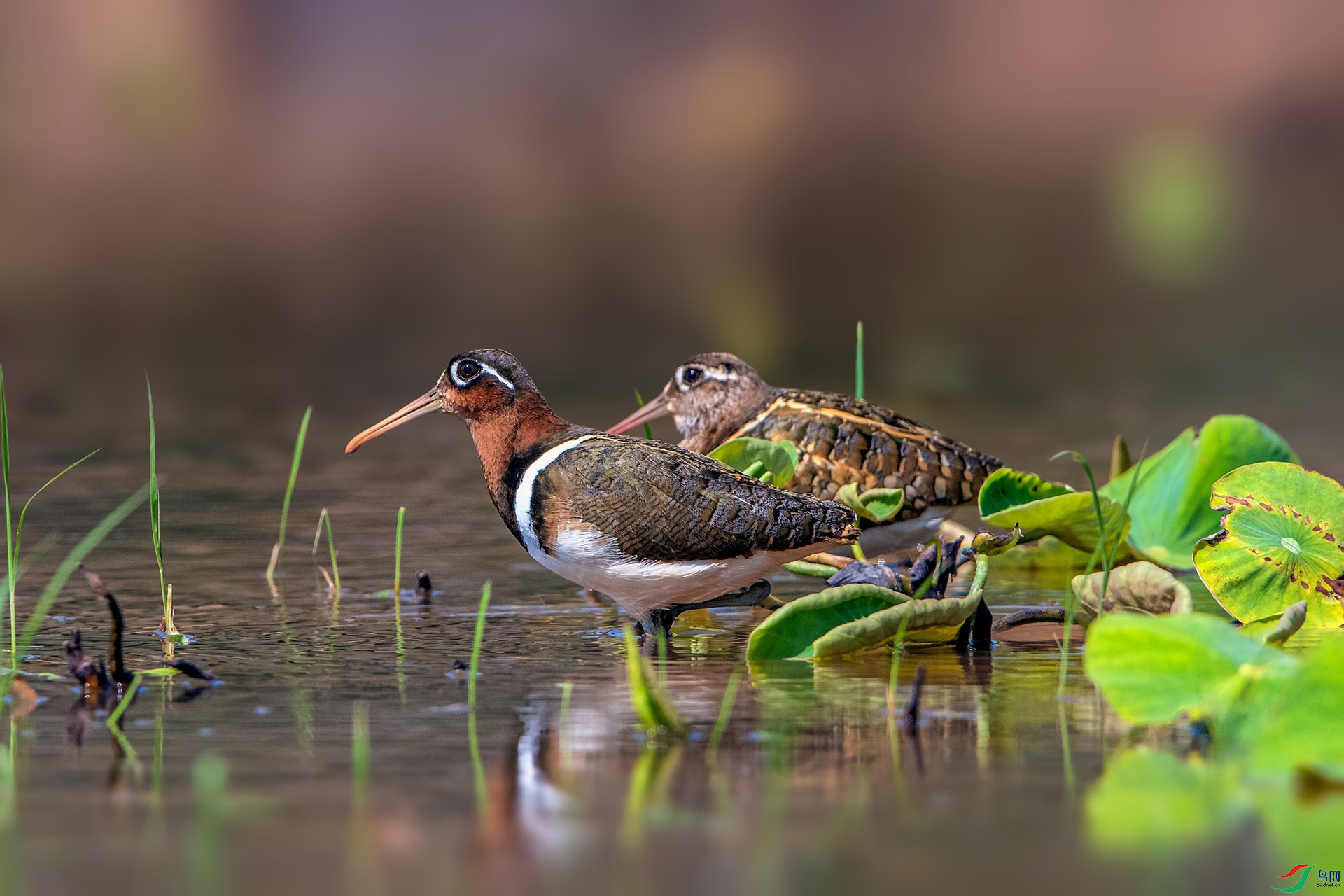 _AUU2309����(24.5.4).jpg