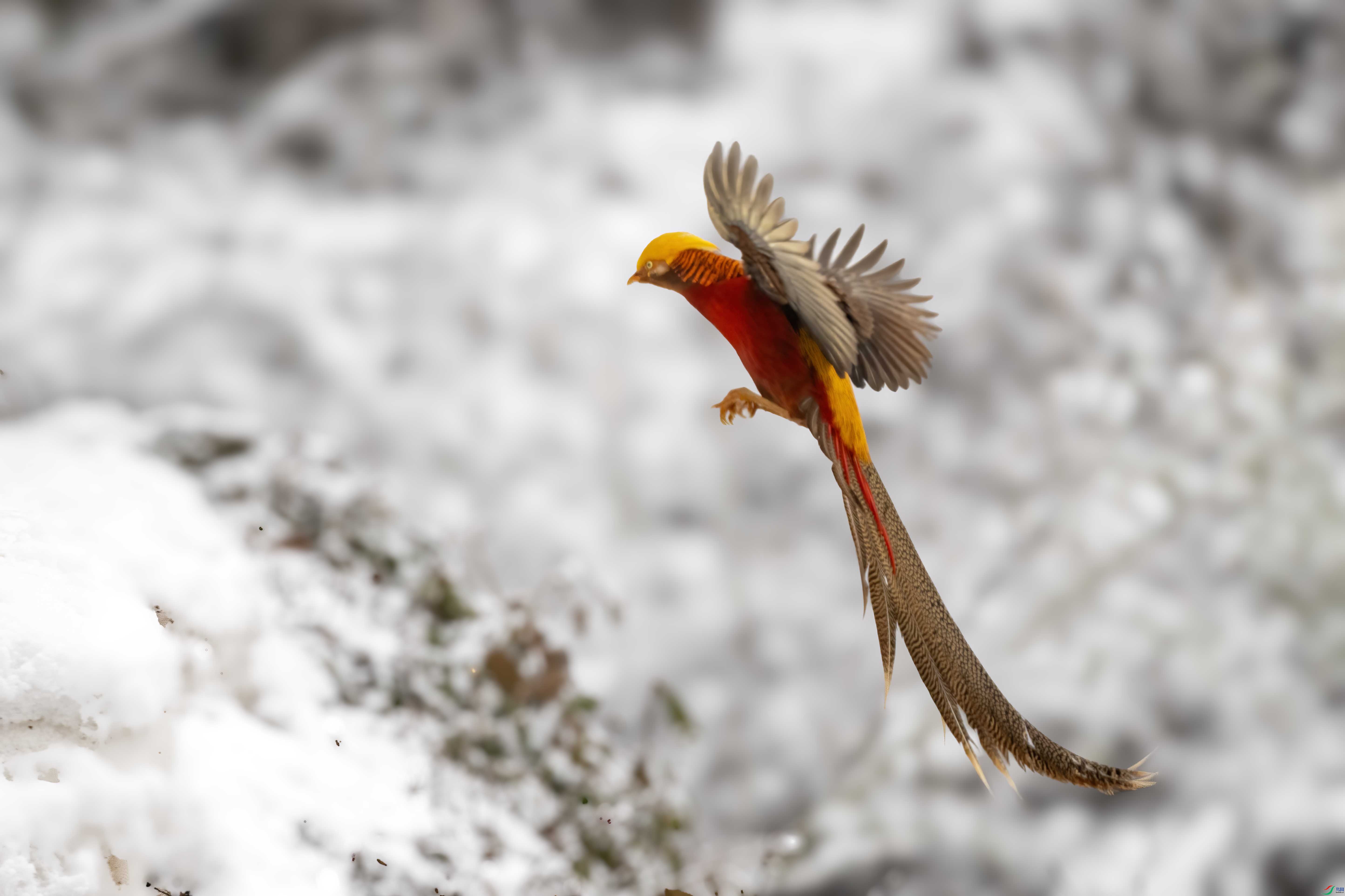 DSC_1751 ����.jpg