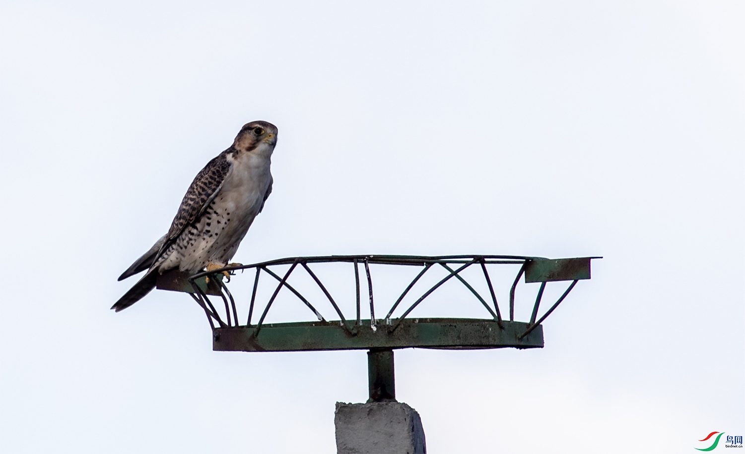 I99A2423 ���к���OK ����.jpeg