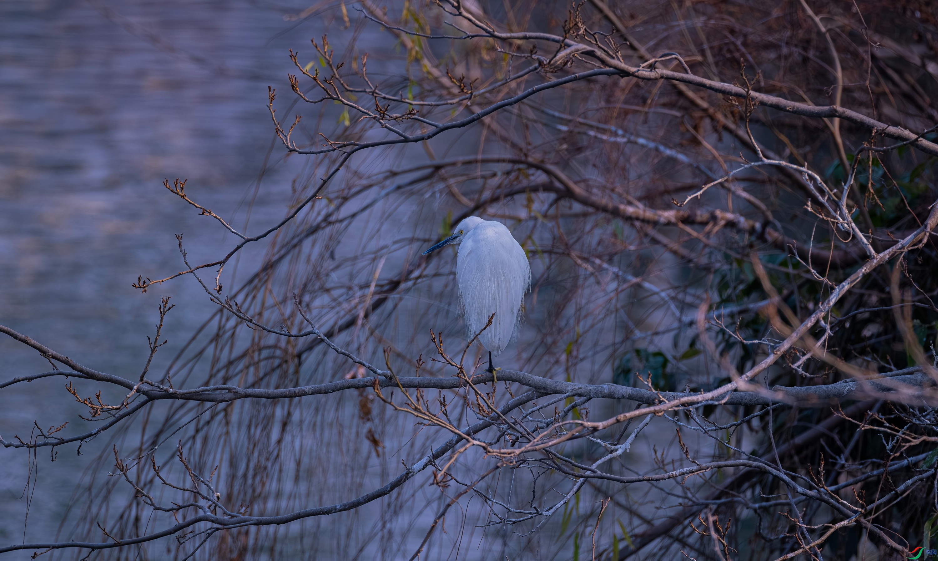 DSCF0415.jpg