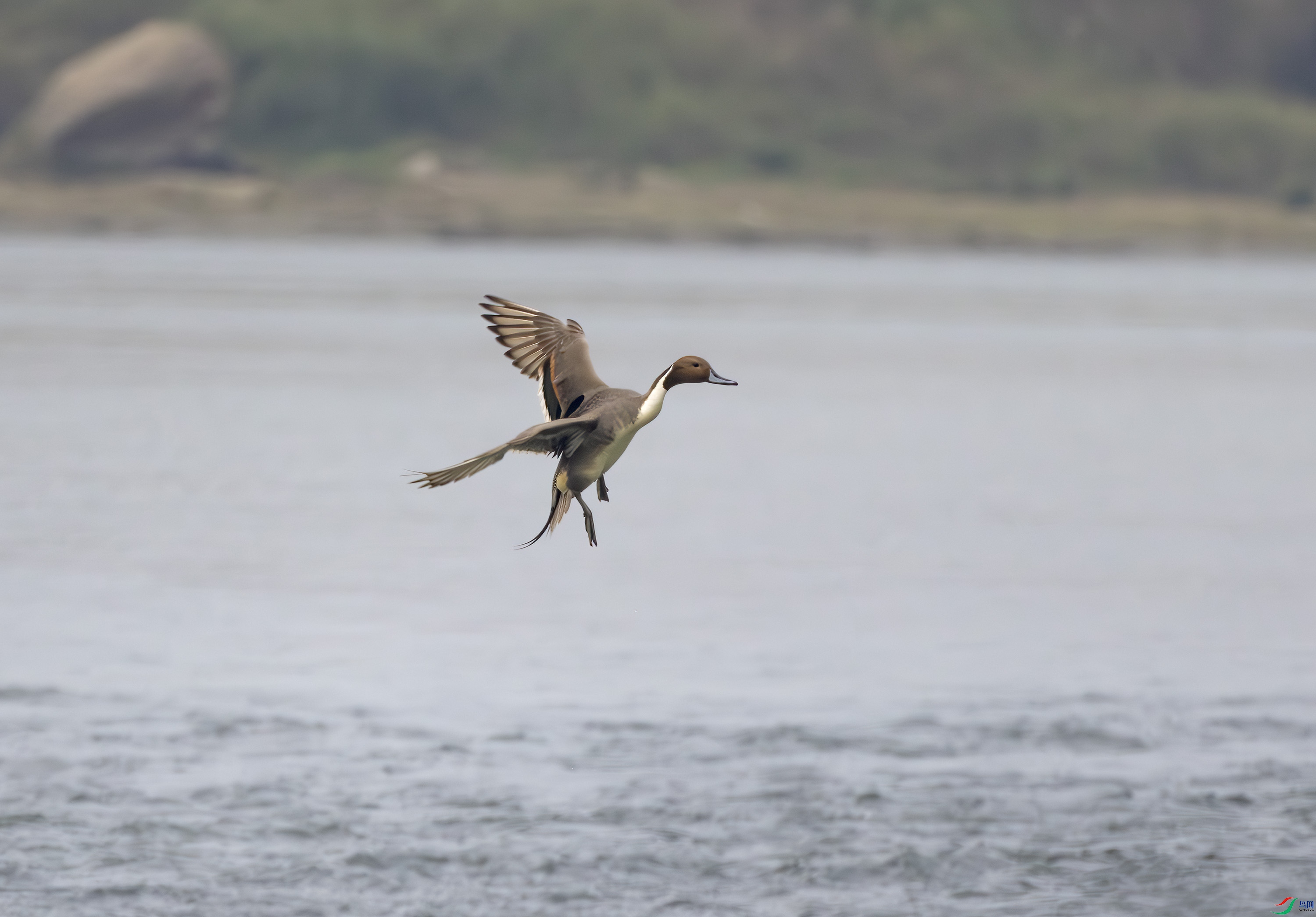 2I1A0971-����ǿ-NR ����.jpg