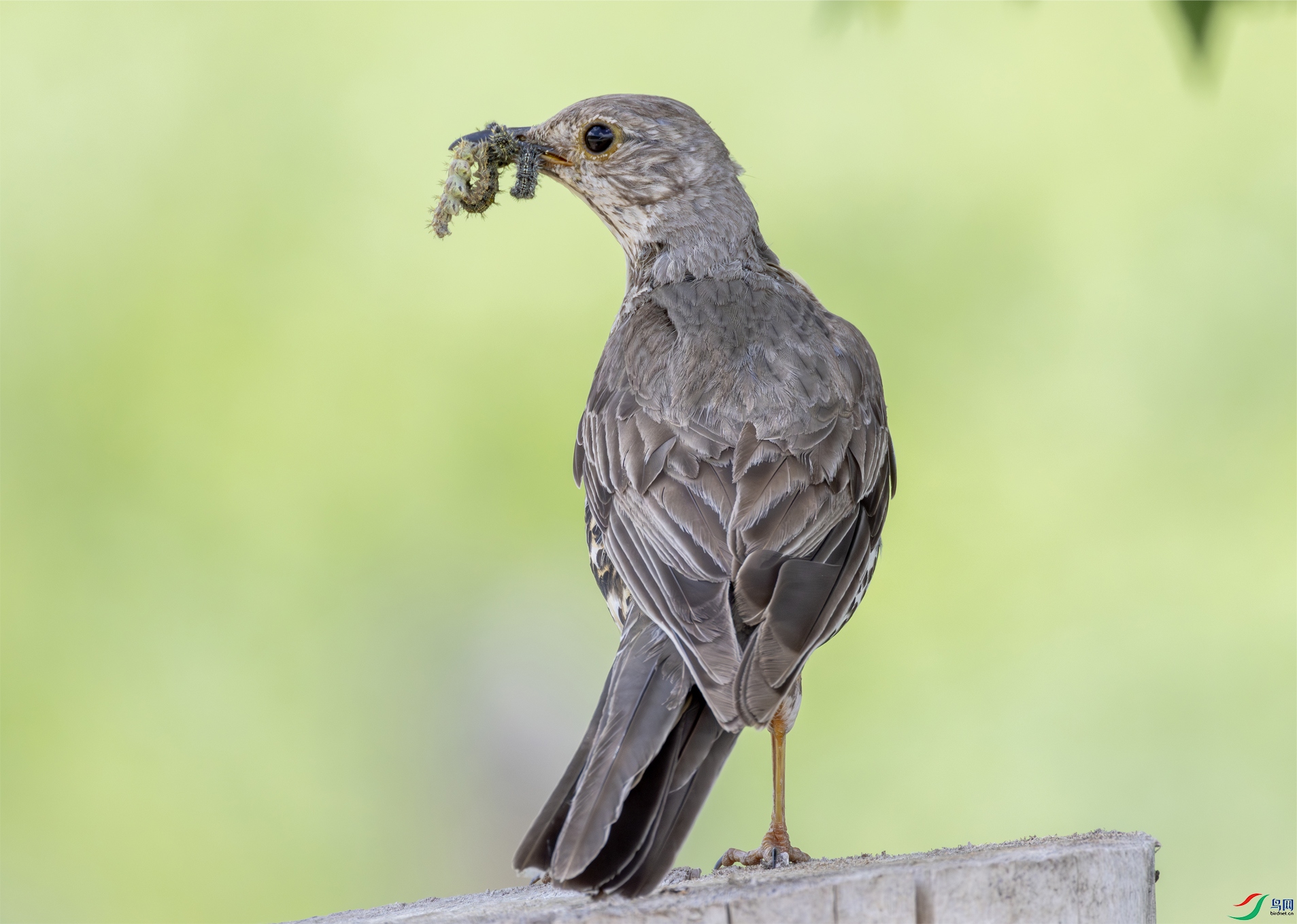 07-���OK ����.jpg