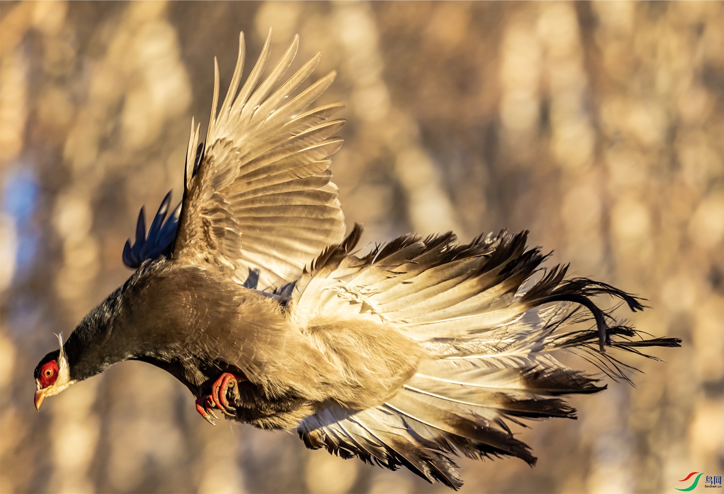 4K2A0951 ������ ���а� ����.jpeg