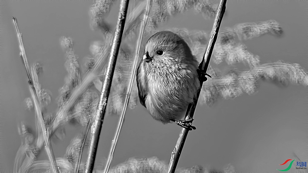 DSC06905_��ͼ��.jpg