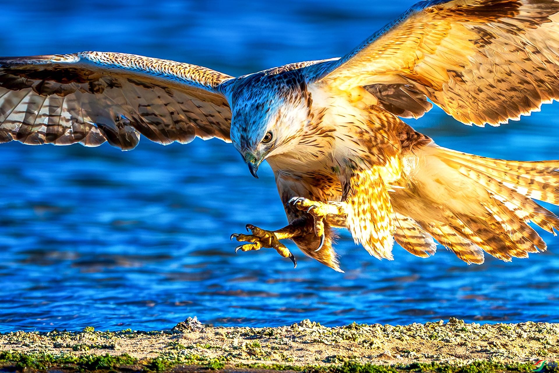 1_XXL6387-����ǿ-NR-1-1 2-1 2.jpeg