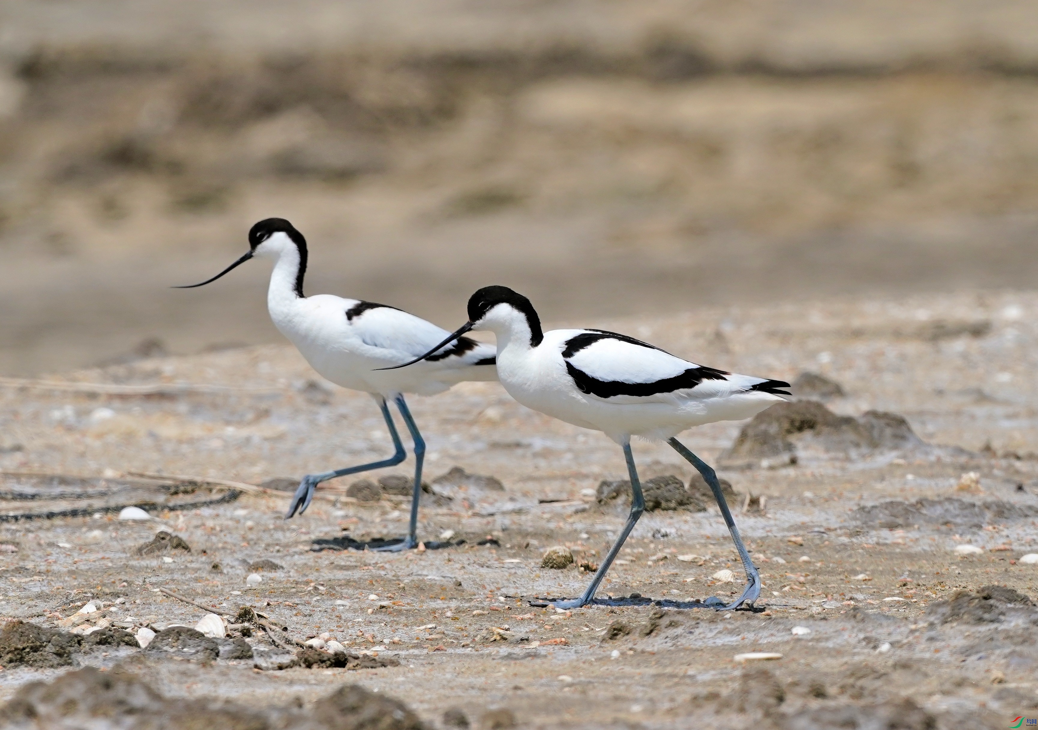 DSC01654.JPG
