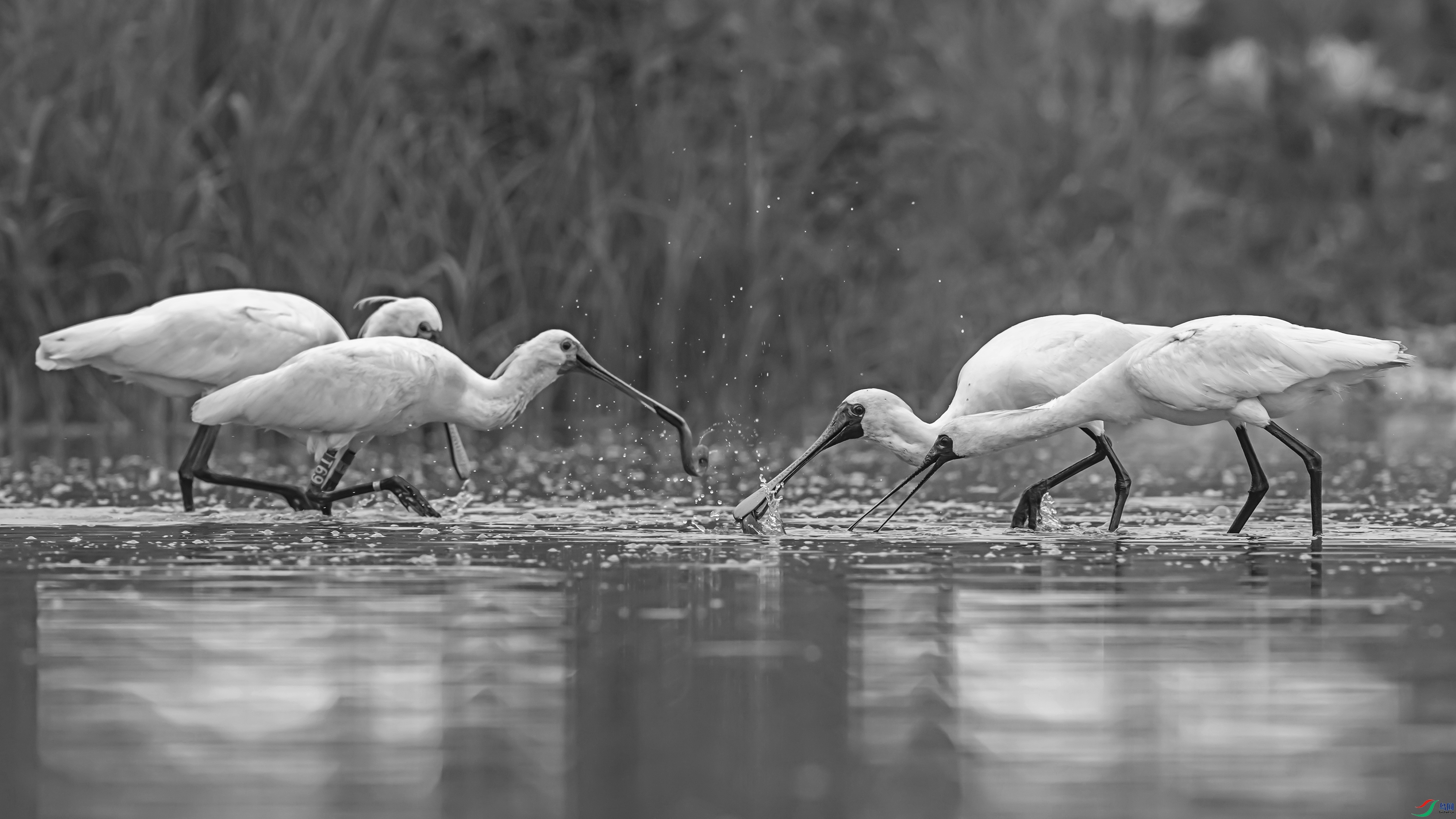 7834 ����.jpg