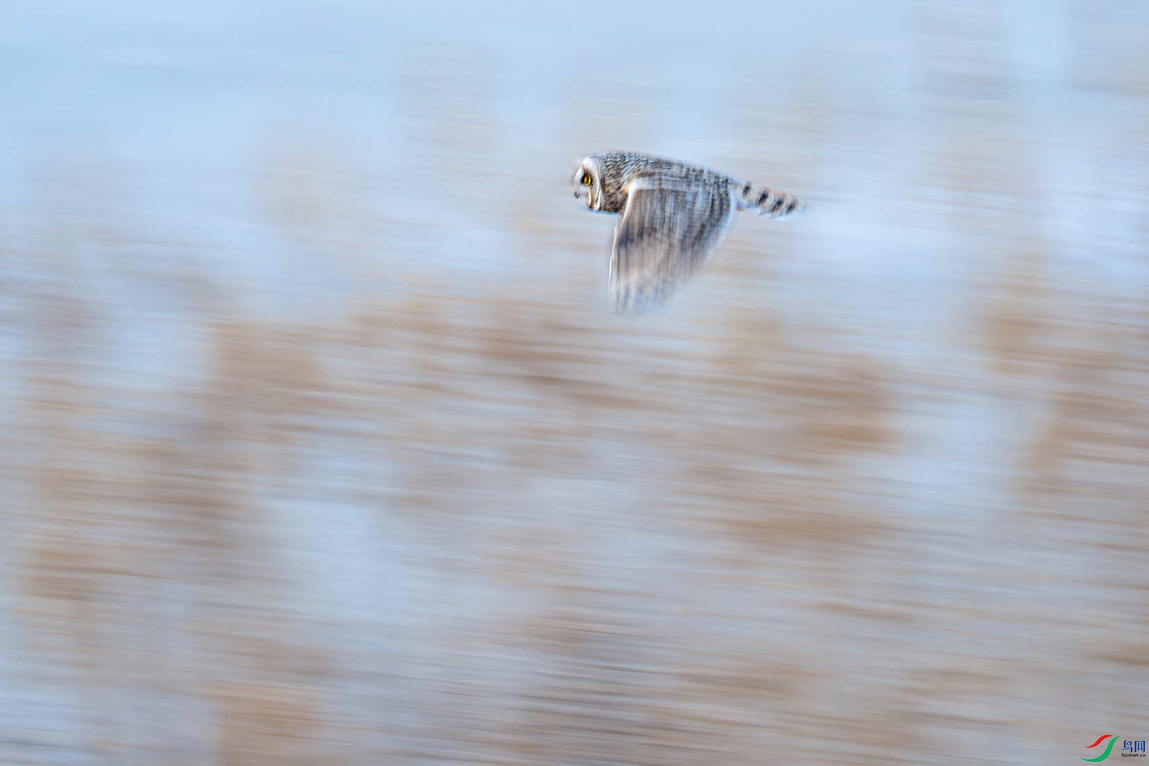 DSC00801-����ǿ-NR ����.jpg