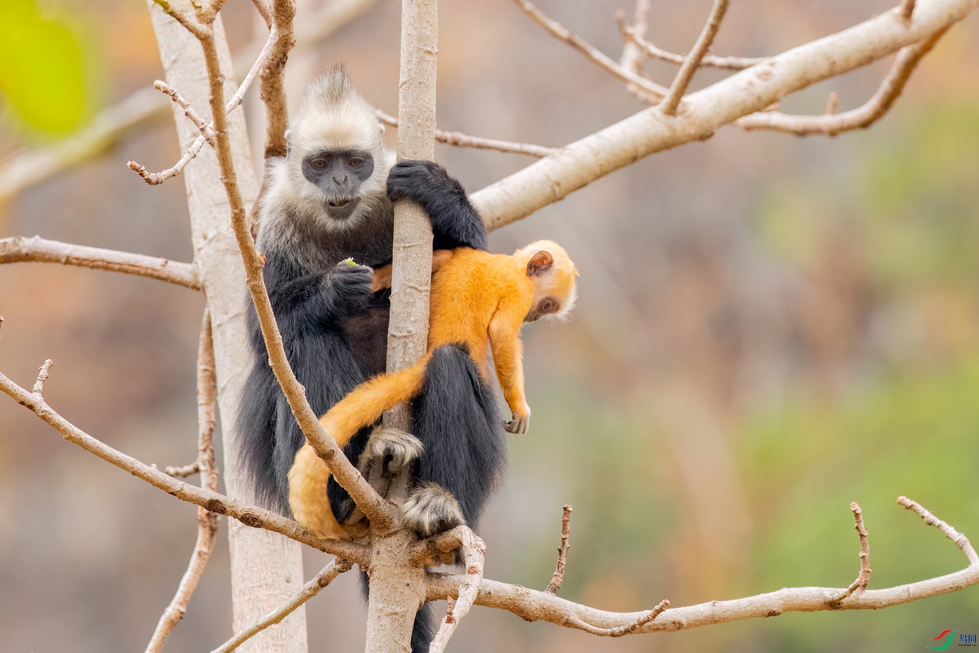 B86I8920 _����.jpg