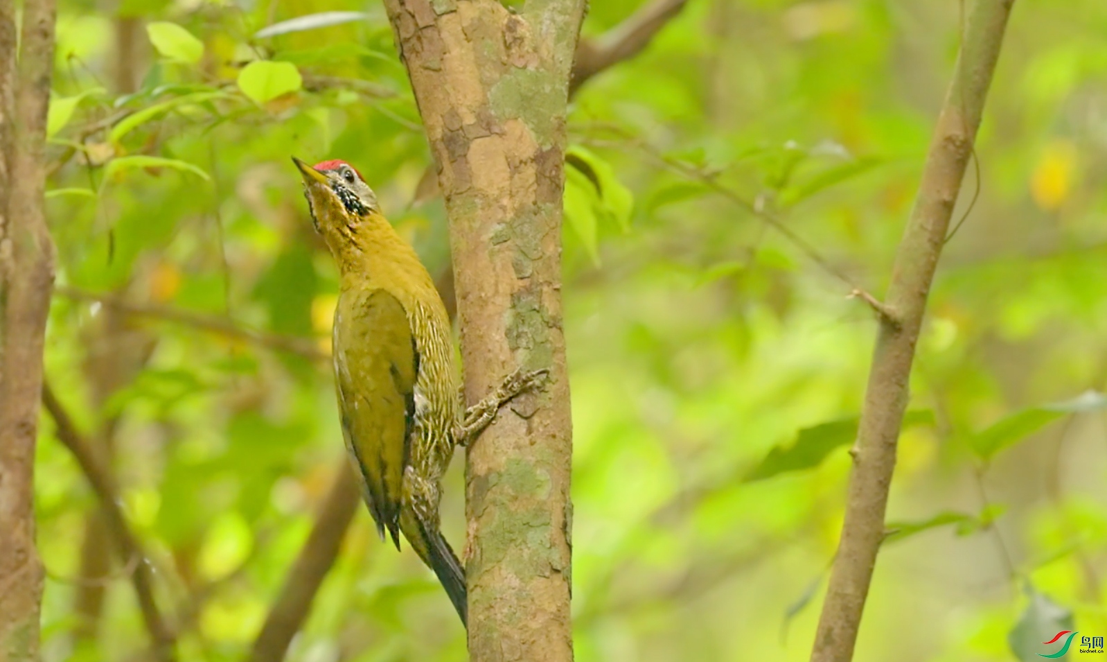 {6626C4E1-C3A8-4C26-9F4A-4BAE0F3ECB00} ����.jpg