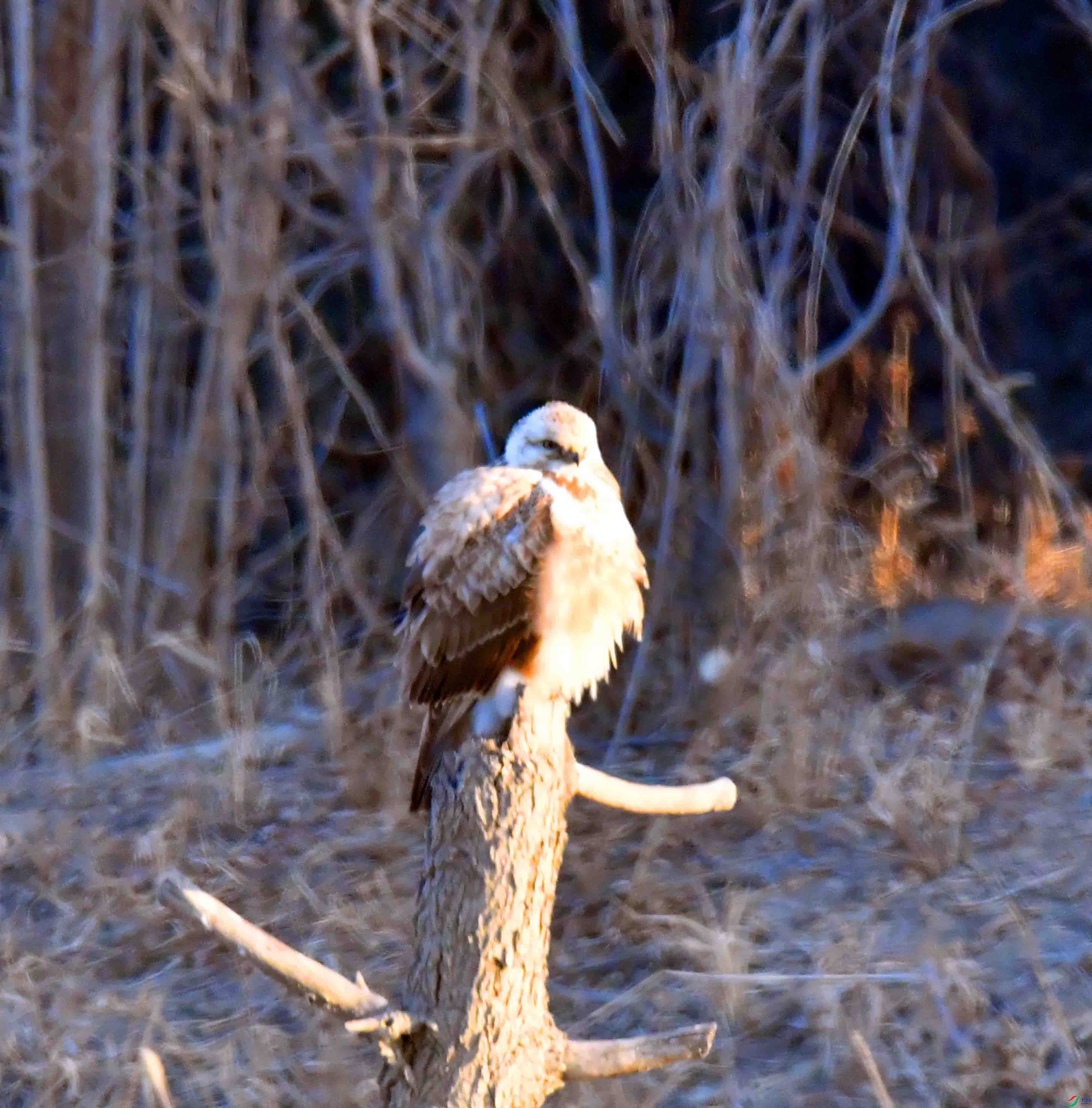 DSC_7999.JPG