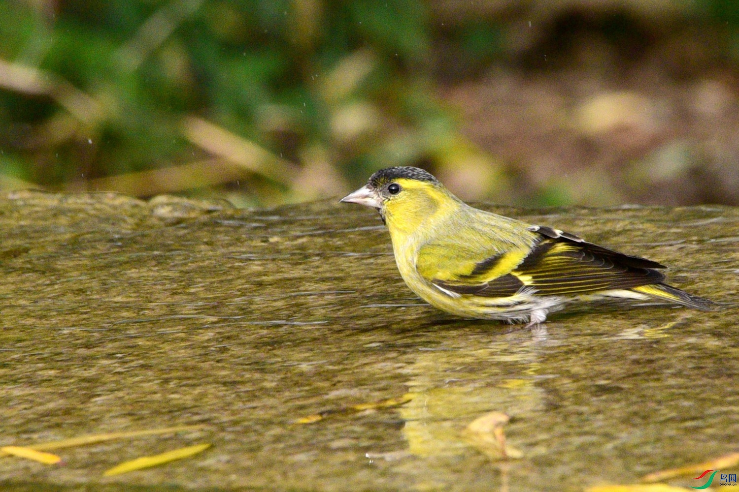 DSC_6322.JPG
