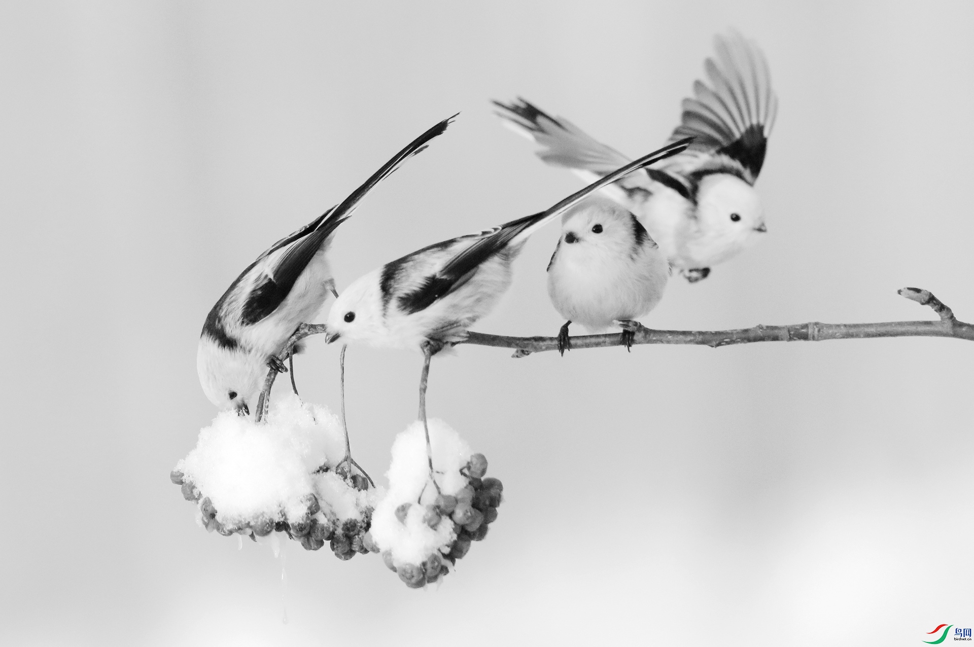 0G1A6423.JPG