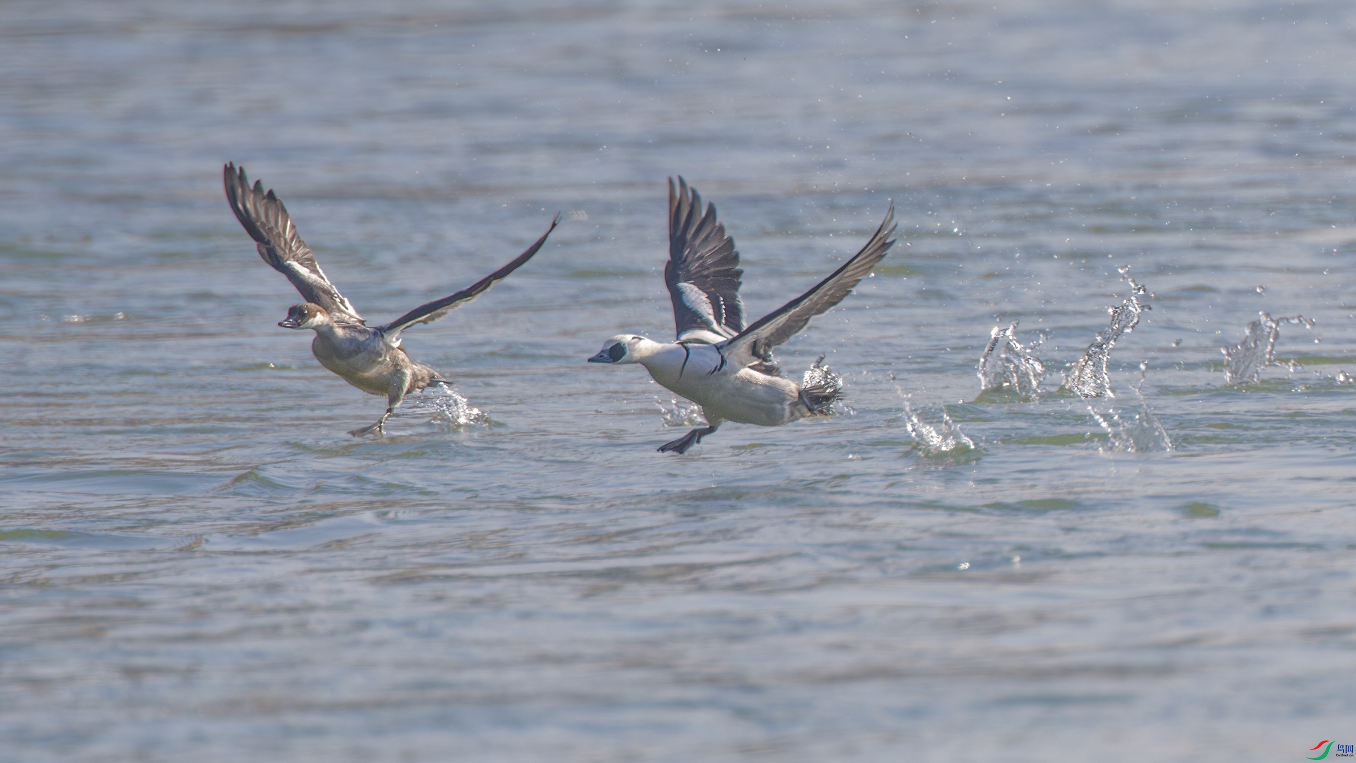 _DSC3699_DxO.jpg