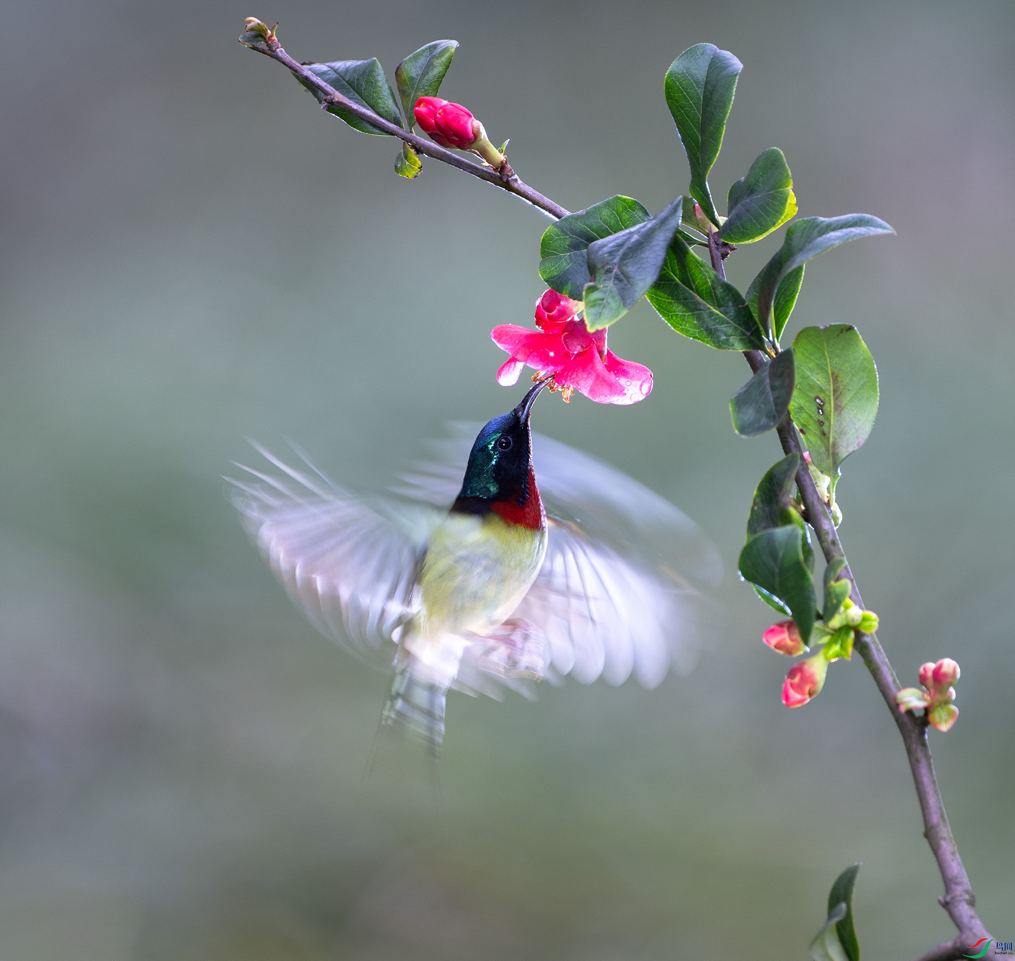 DSC_3190 ����.jpg