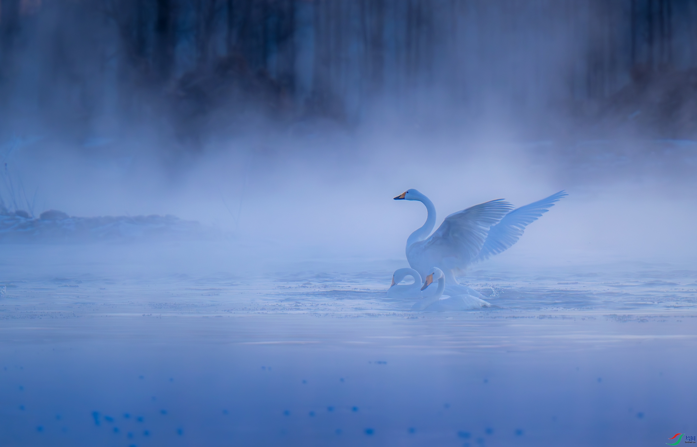 _LXB0850-����ǿ-NR.jpg