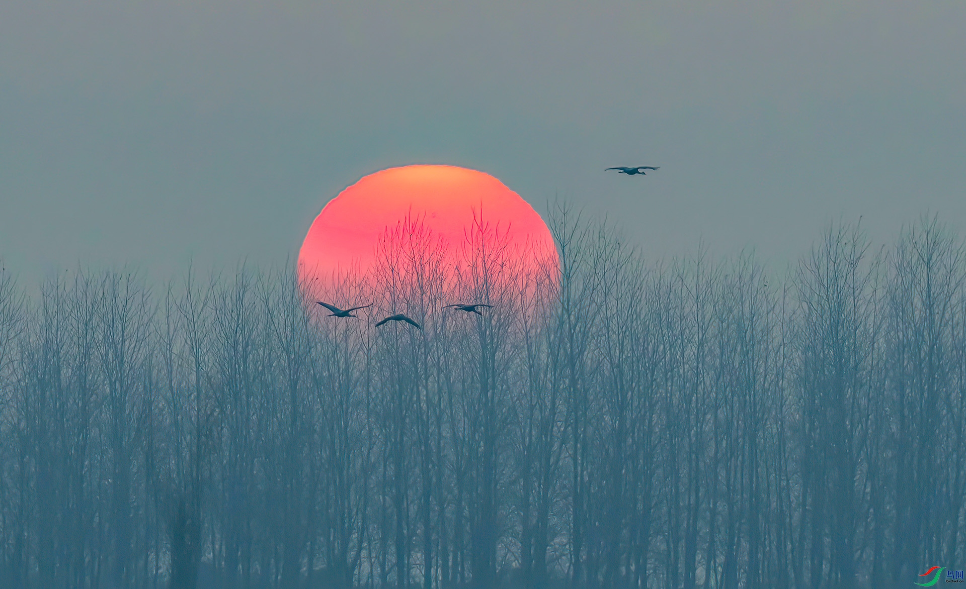 _60A5917 ����-Sh---1 .jpg