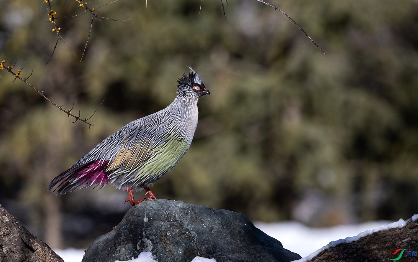 DSC_6390 ����.jpg