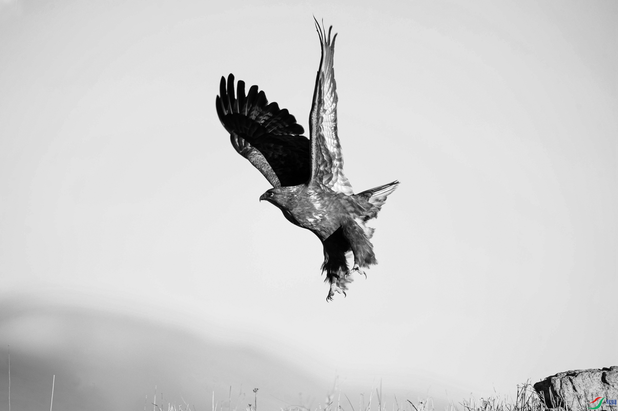 _DSC3356_.jpg