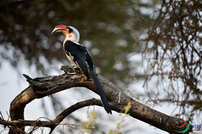 DSC_2536_01.JPG
