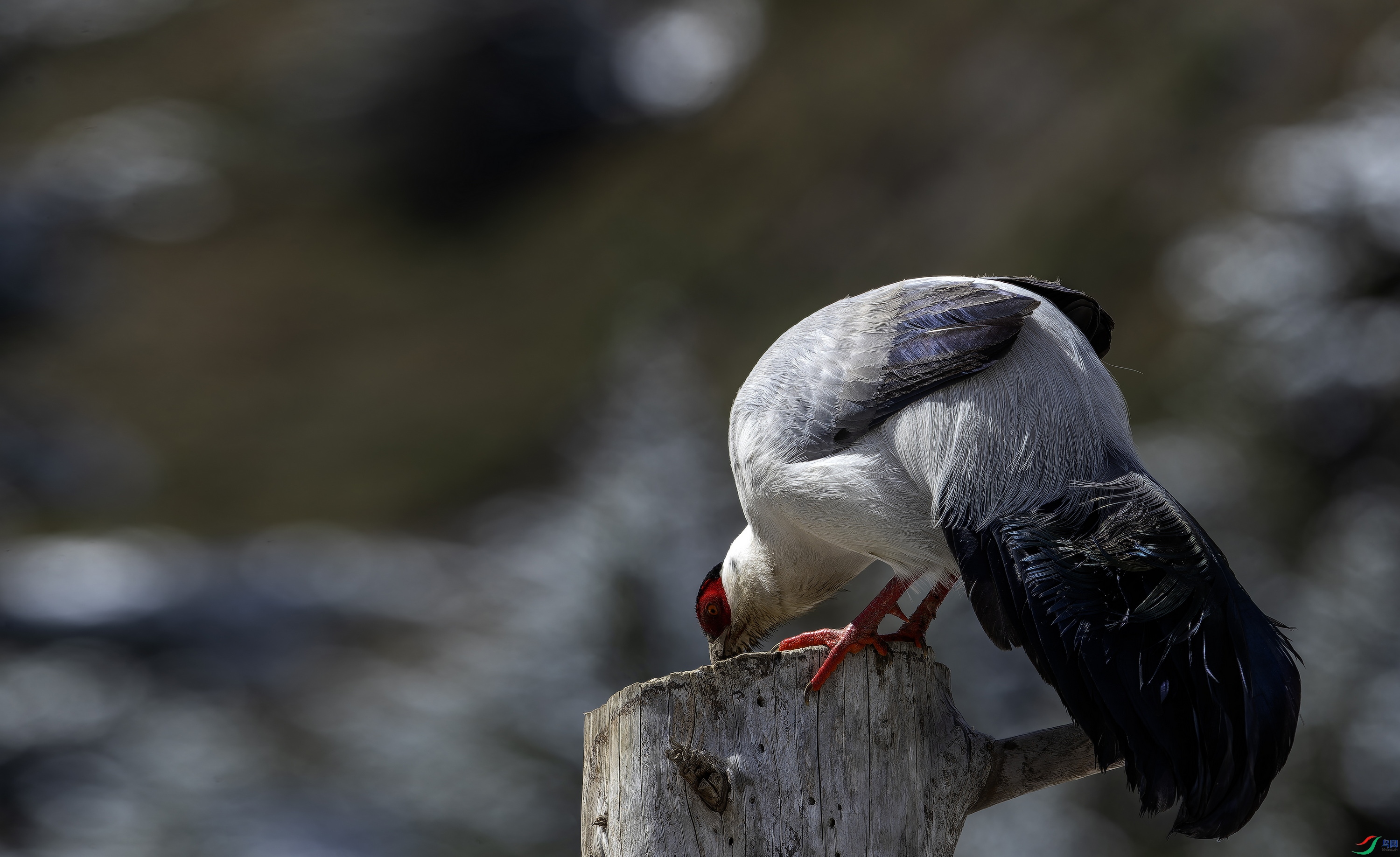 ������  (1)-1.jpg