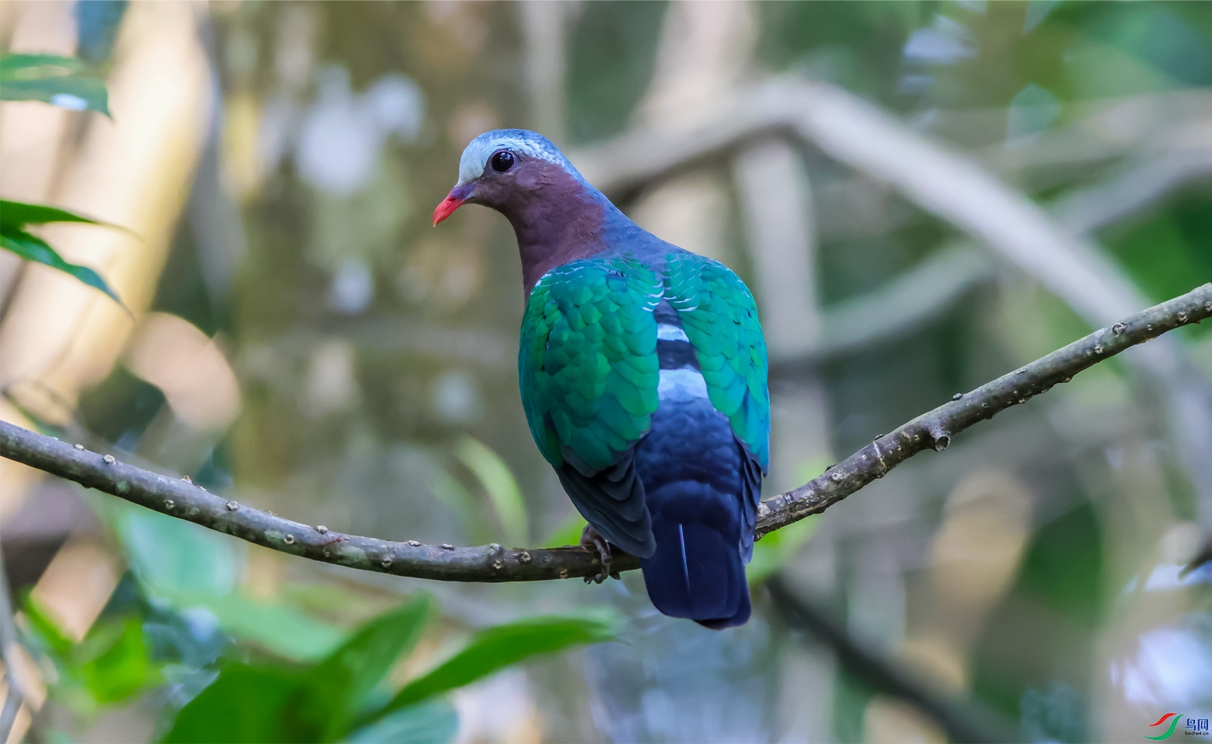 96�̳��� ����.jpg