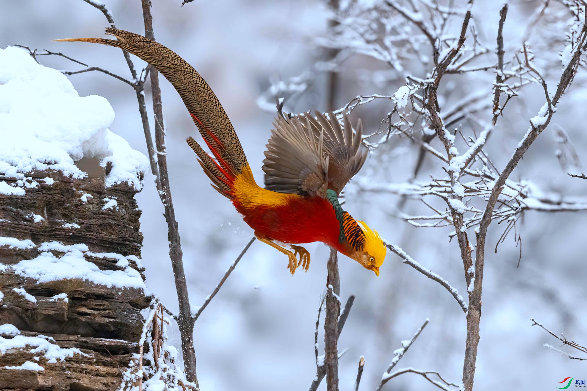 DSC_0845-2 ����.jpg