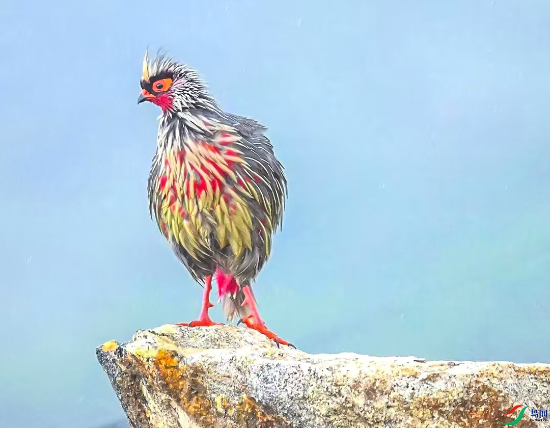 IMG_7355 ����.jpeg