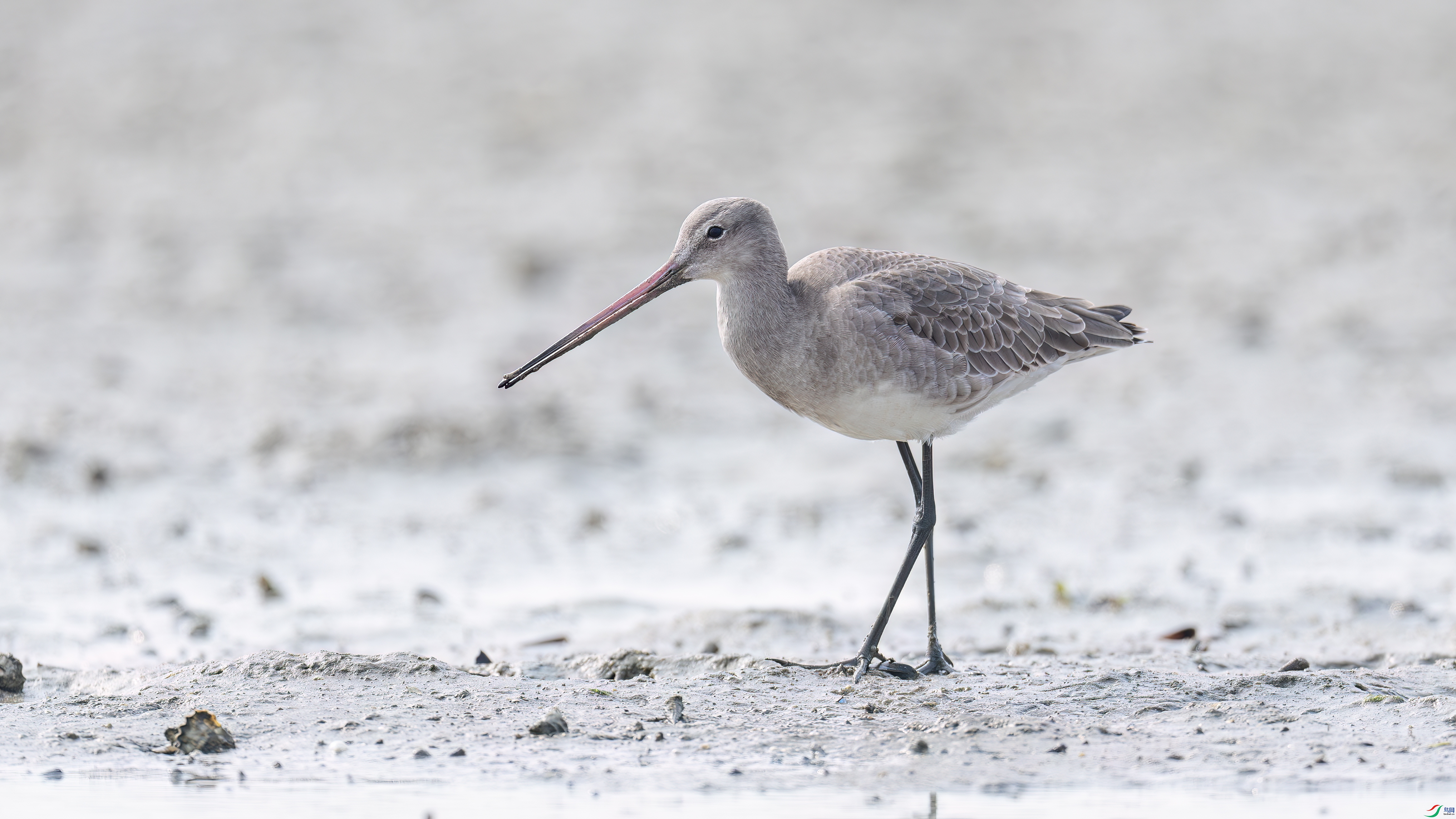 DSC00009-����ǿ-NR ����.jpg