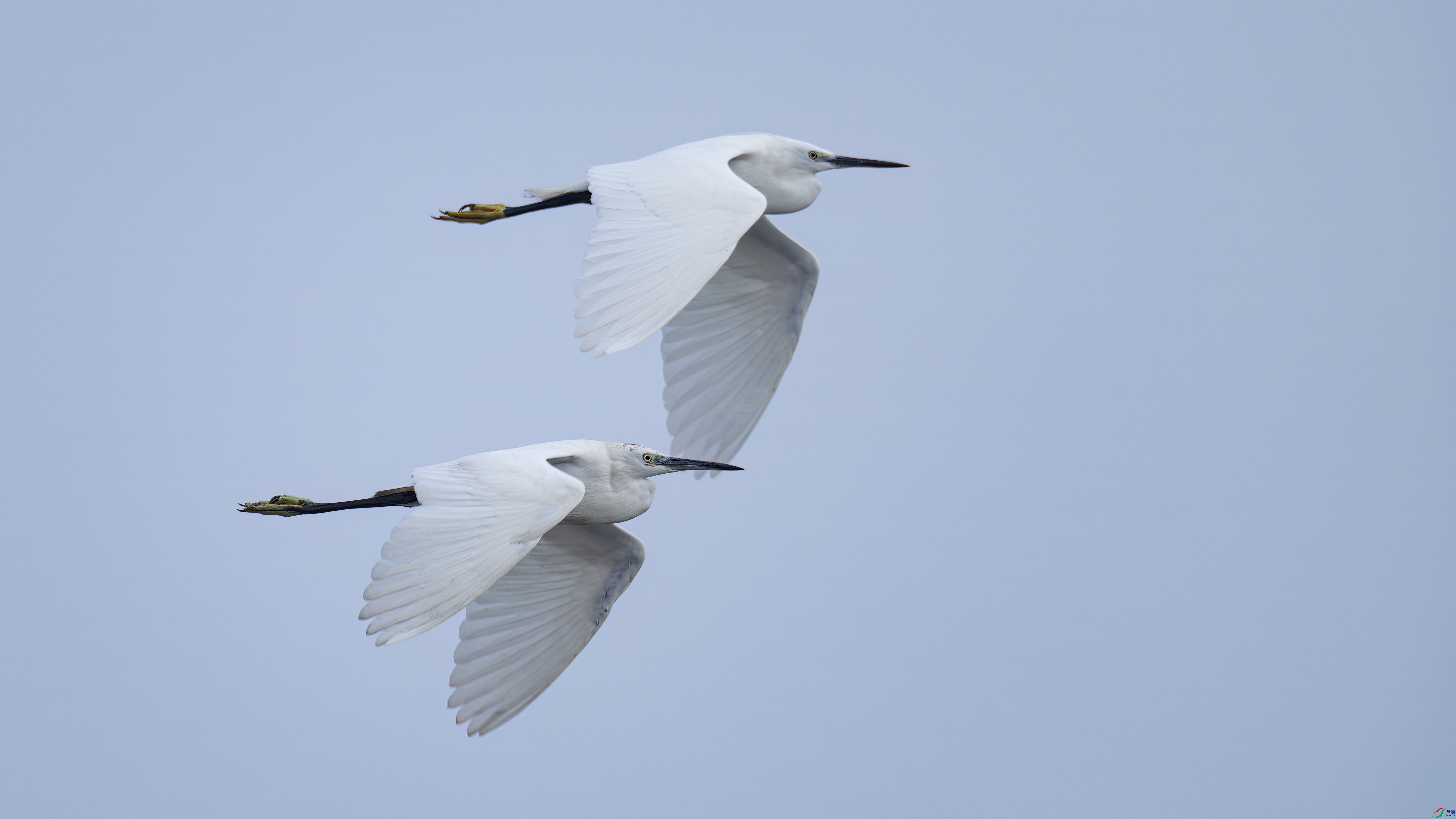 DSC01002-����ǿ-NR ����.jpg