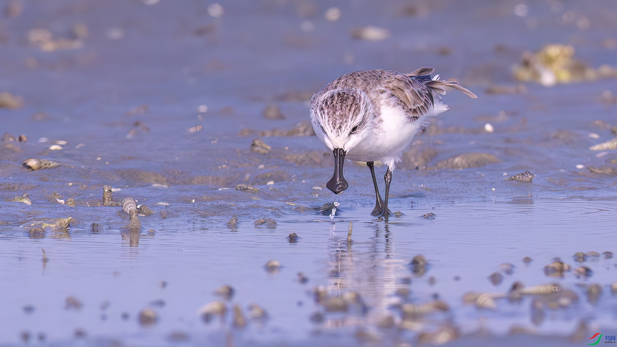 DSC06903-����ǿ-NR ����.jpg