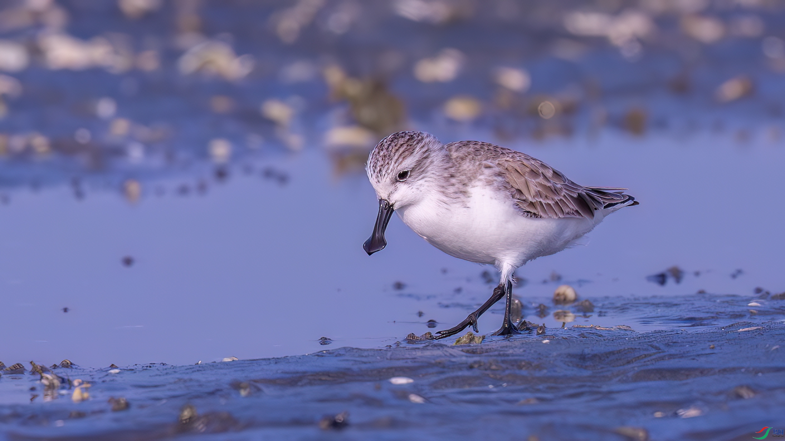 DSC07491-����ǿ-NR ����.jpg