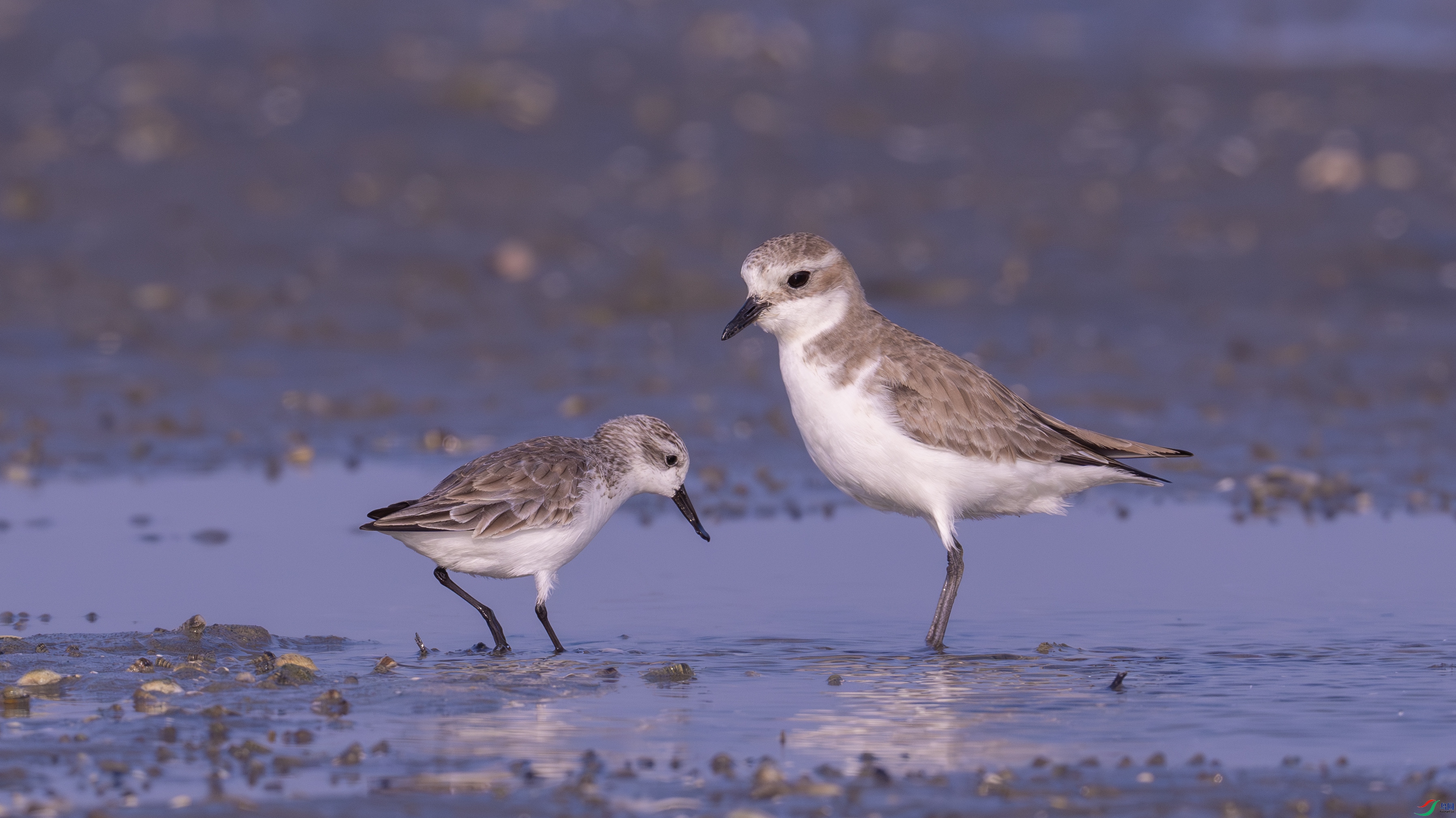 DSC07061-����ǿ-NR ����.jpg