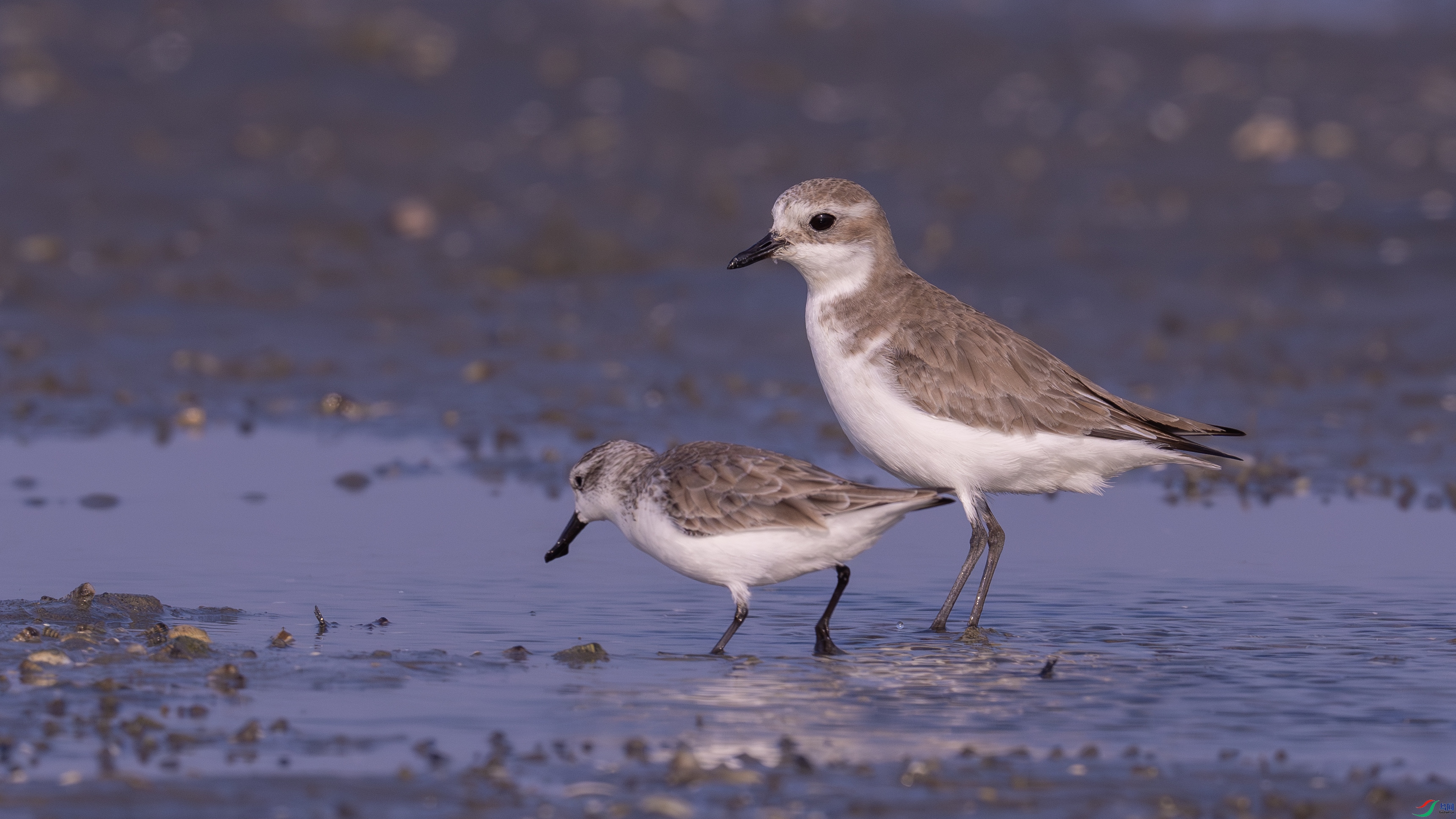 DSC07093-����ǿ-NR ����.jpg