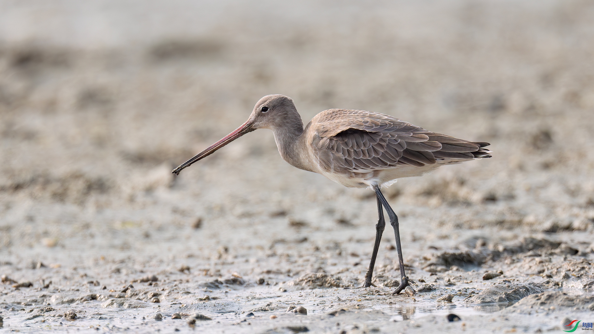 DSC09988-����ǿ-NR ����.jpg