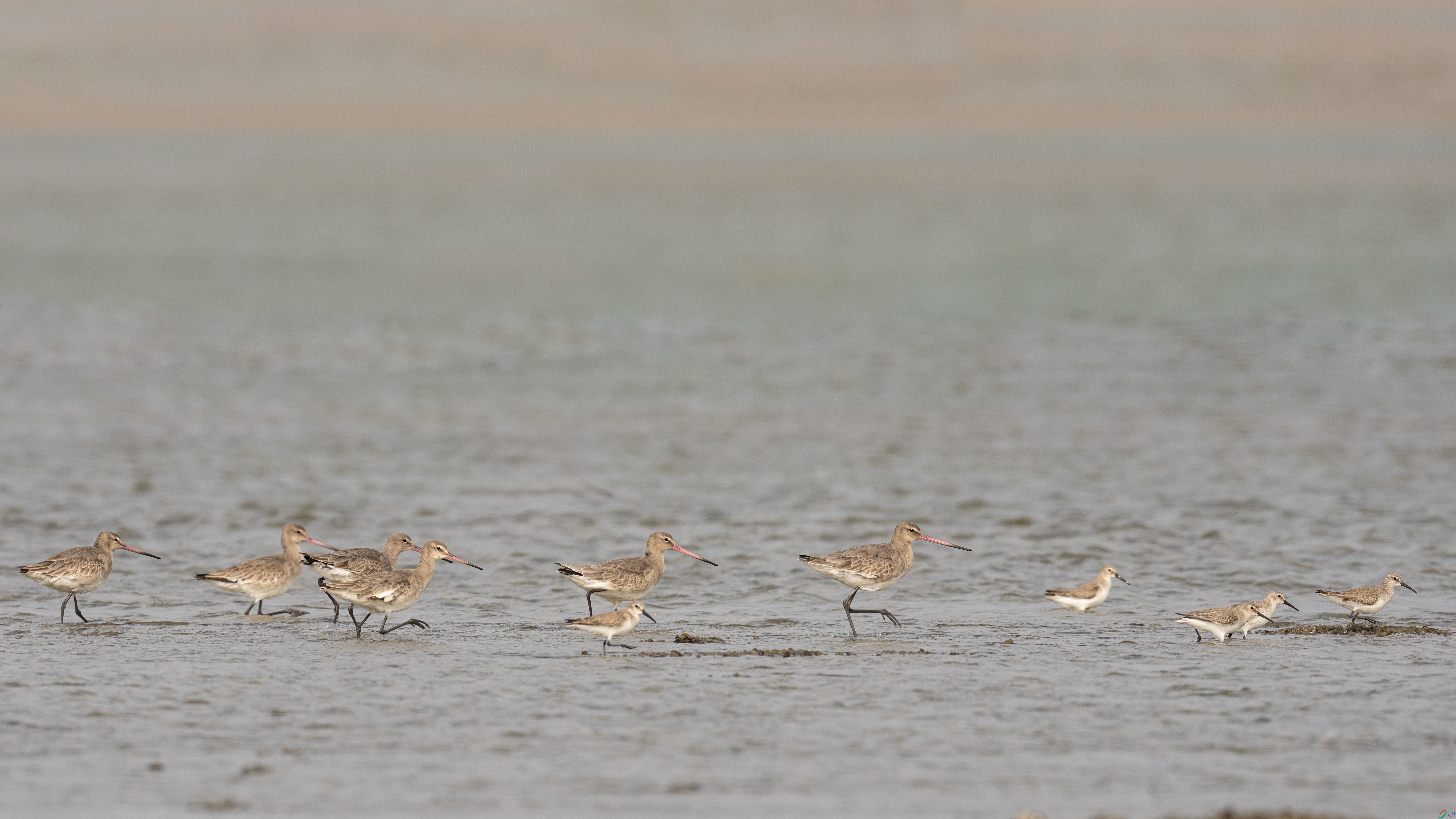 DSC09879-����ǿ-NR ����.jpg