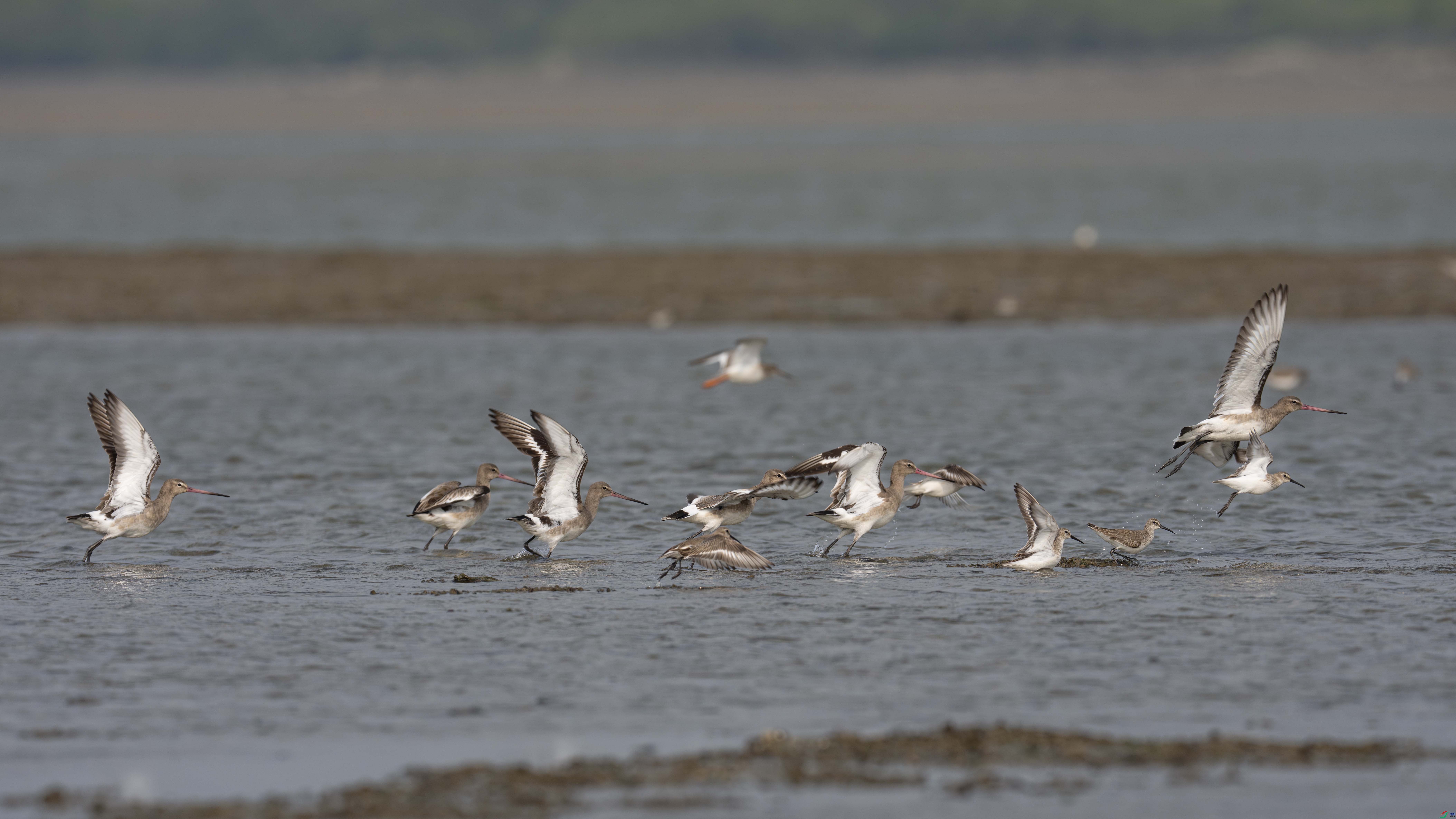 DSC09894-����ǿ-NR ����.jpg