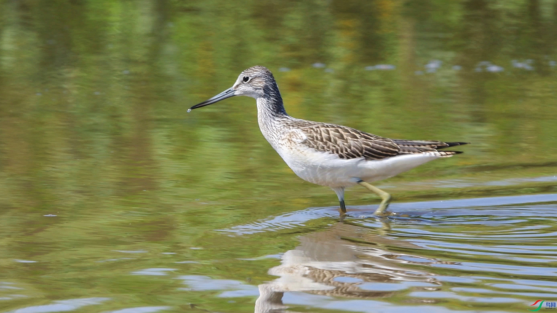 BM0A7102 ����_����_����.jpg