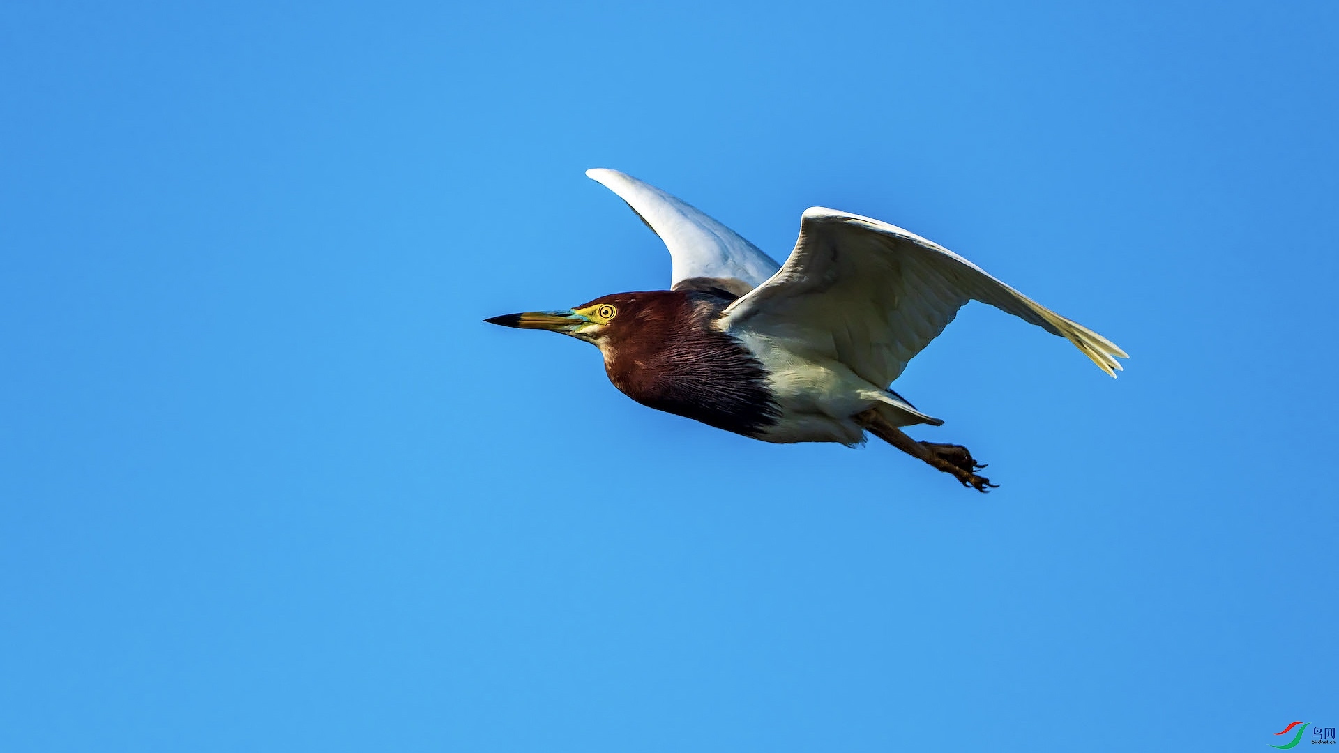 1XXI_0813 ����.jpeg