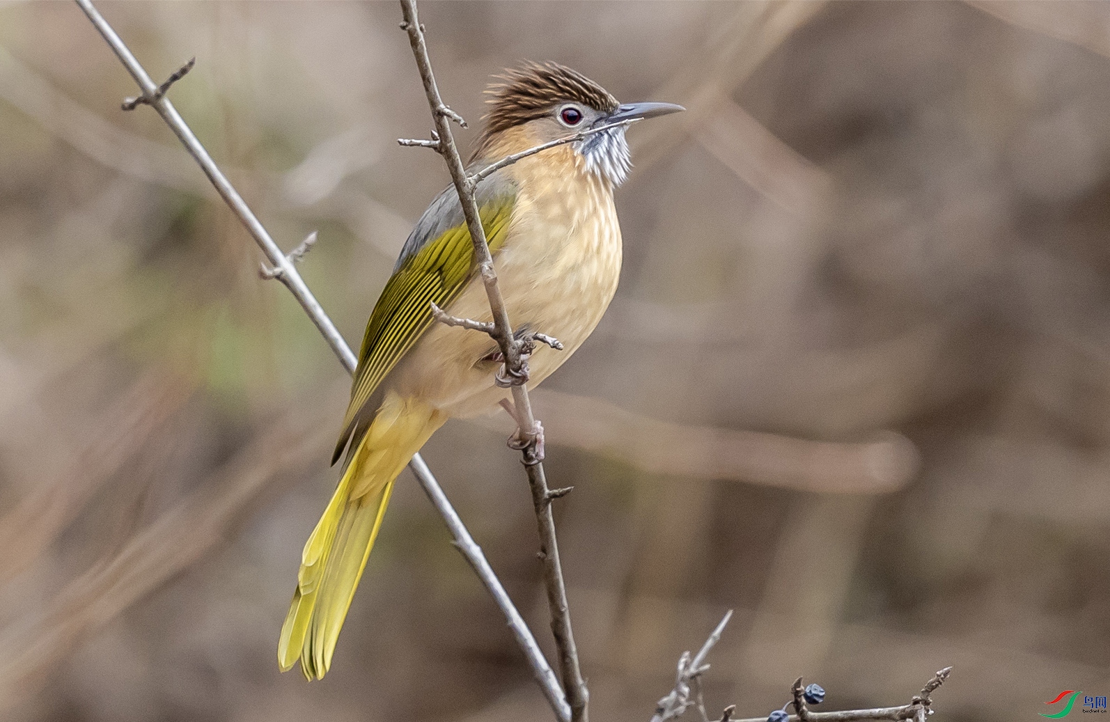 64�̳�̽���  ����.jpg