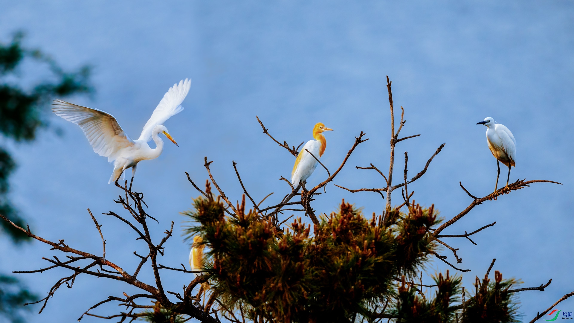 _B5A6337.jpg