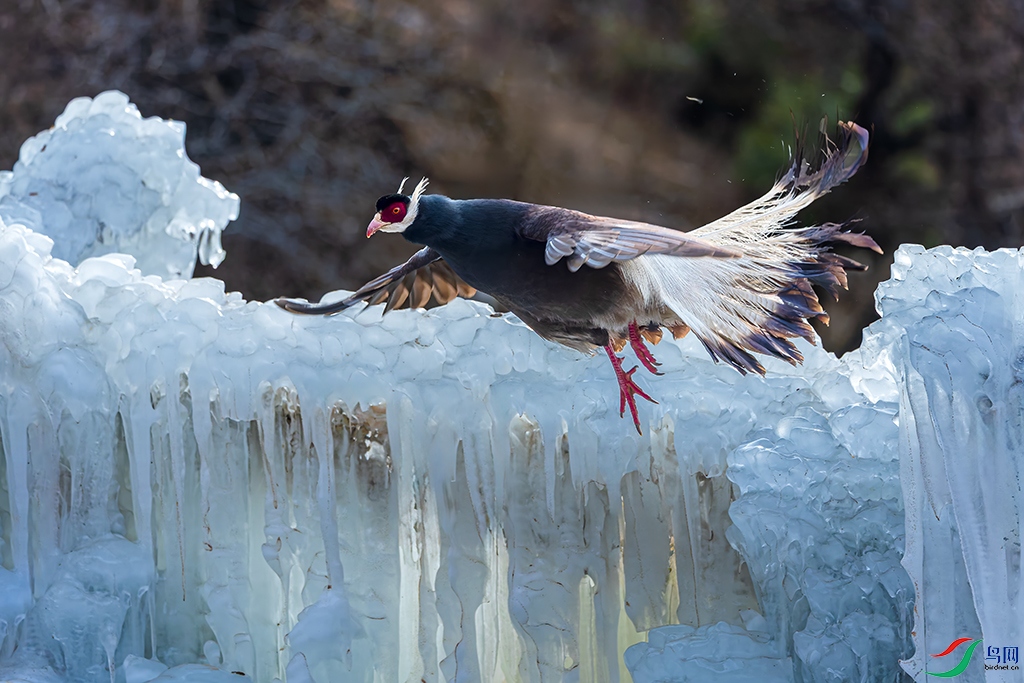 sxhdR3250103 (1642)_DxO.jpg