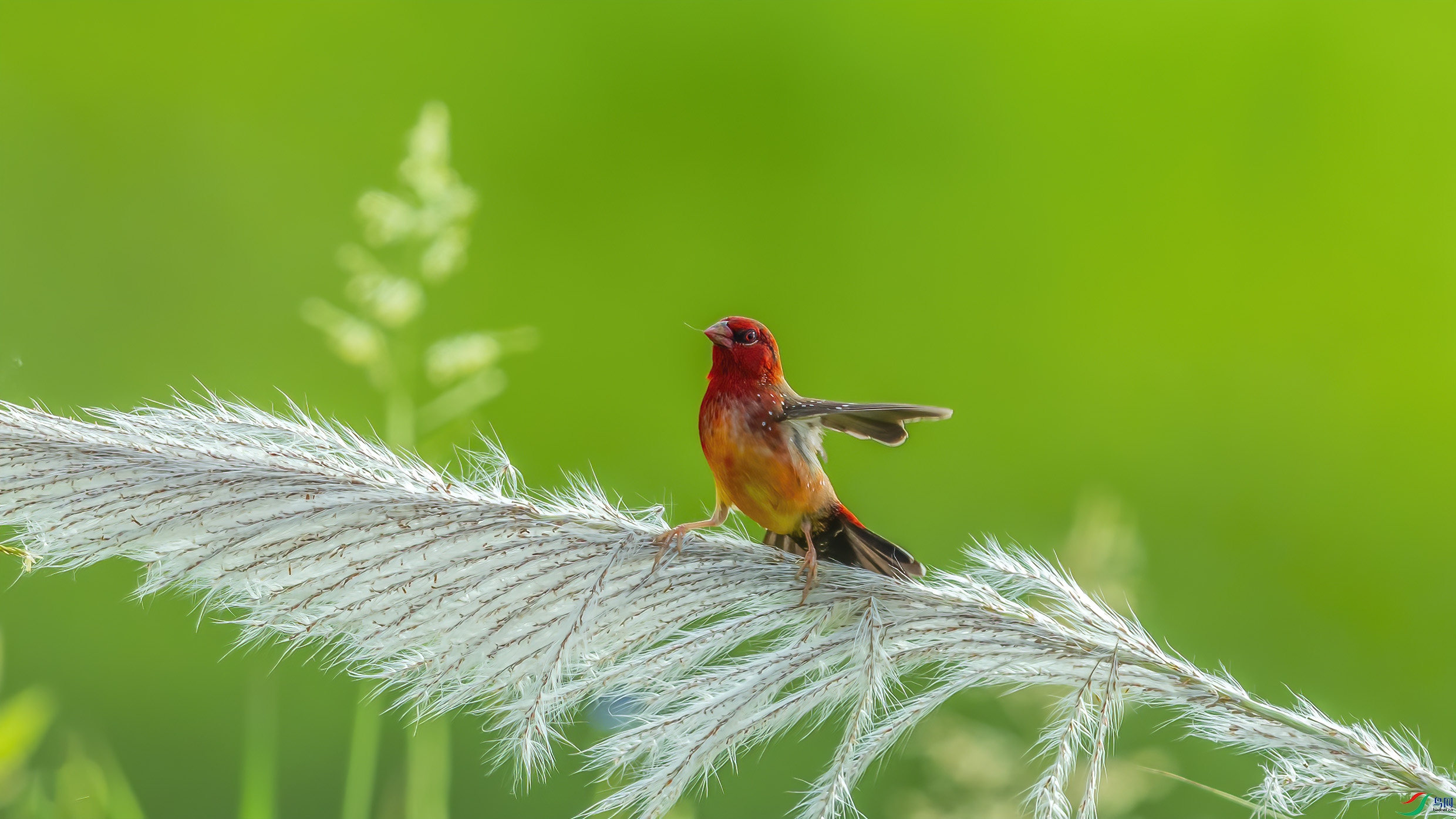 C09R8747 ����.jpg