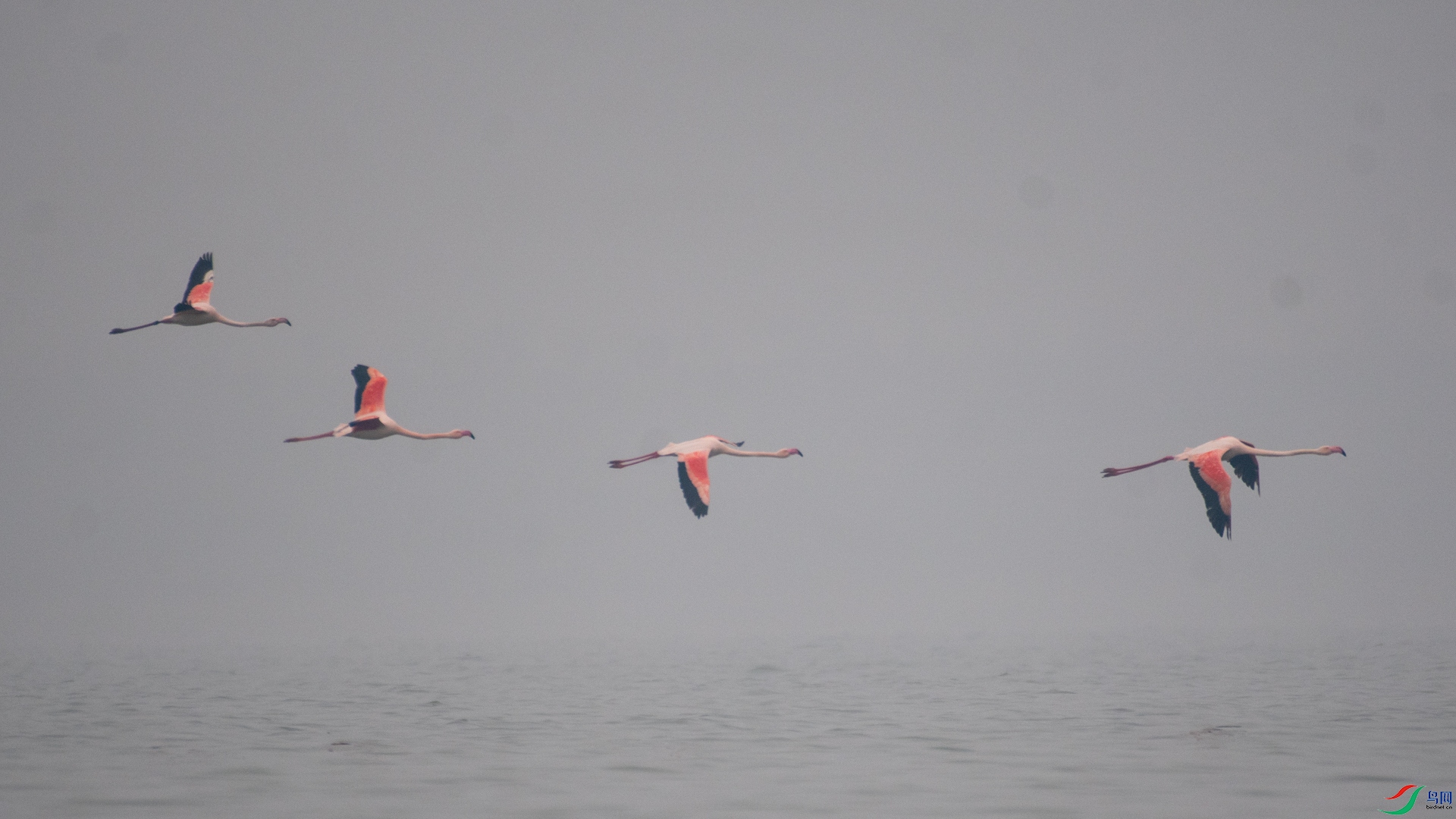 _DSC3564.jpg