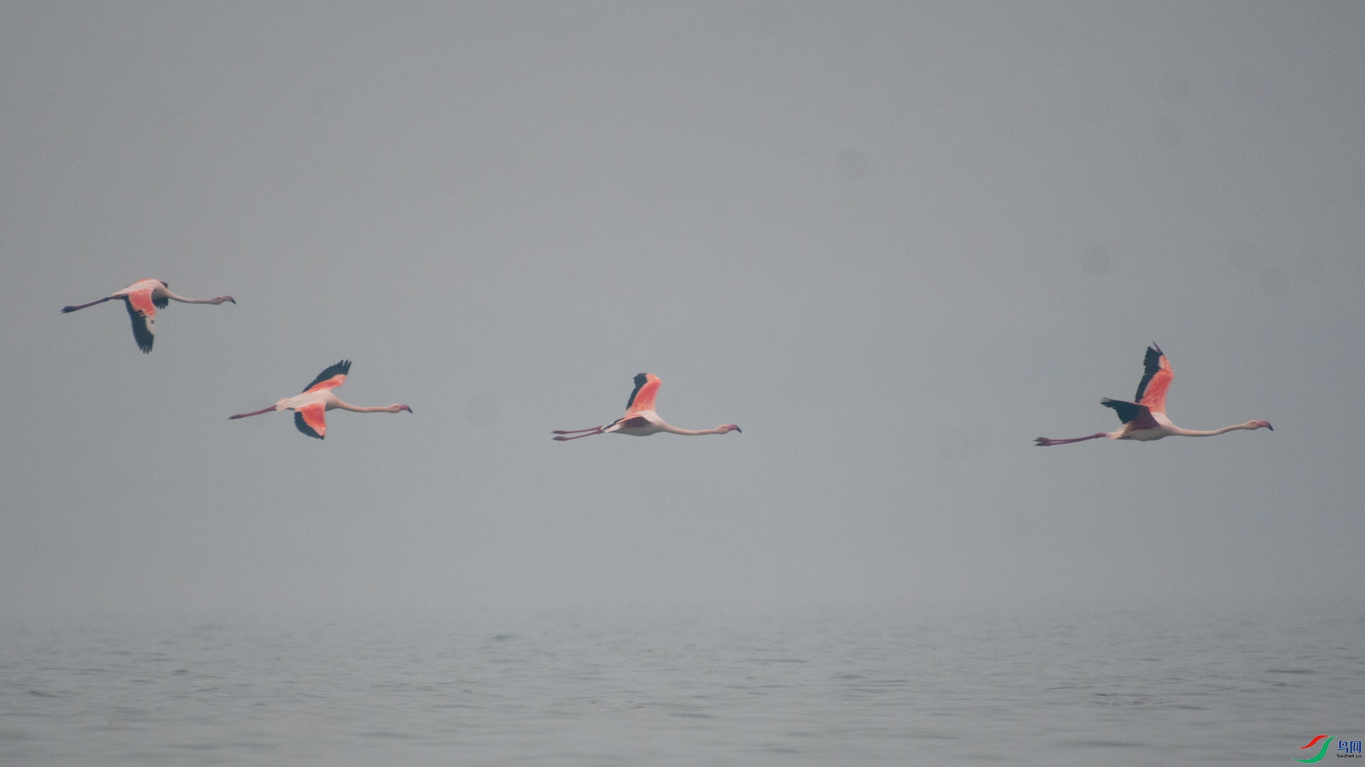 _DSC3565.jpg