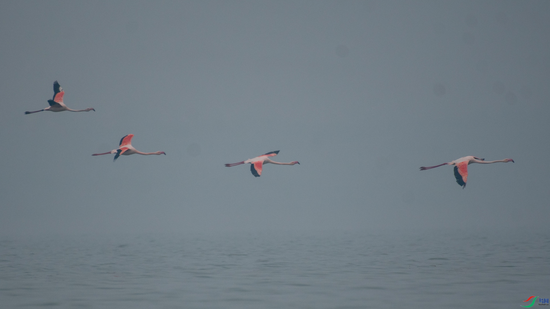 _DSC3566.jpg