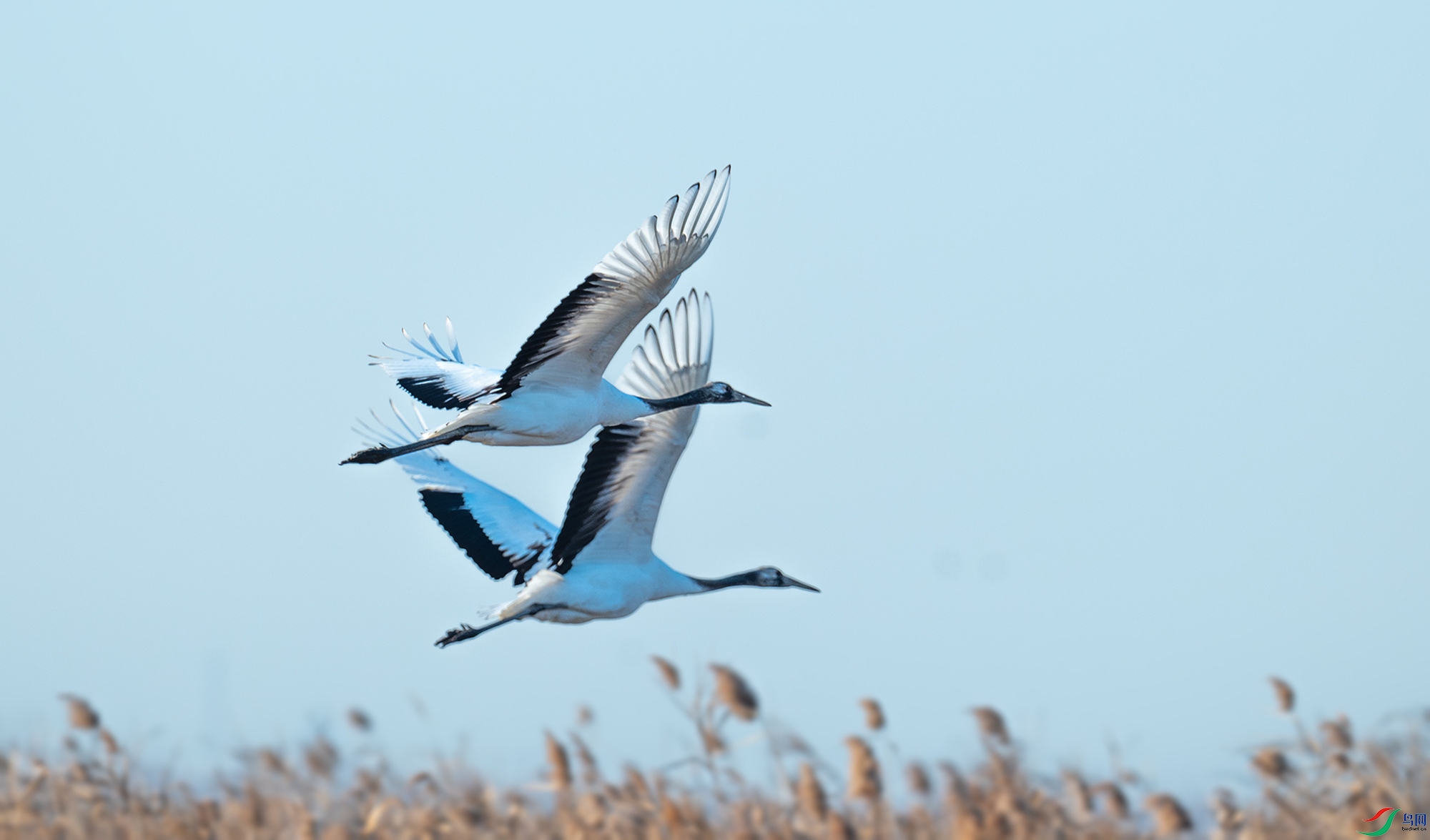 DSC_6493_.jpg